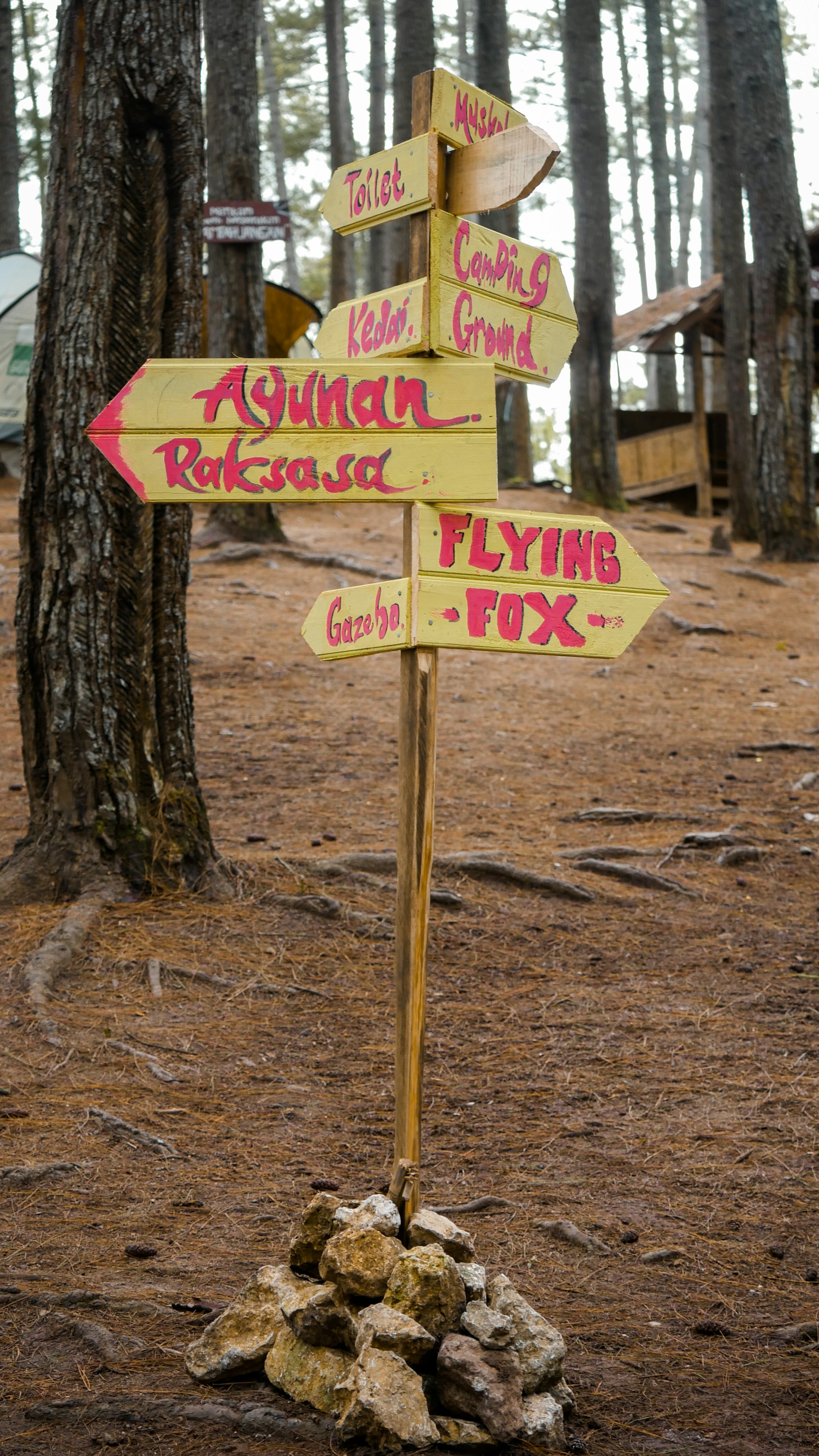 A close-up of a weathered wooden signpost pointing towards a Yowie sighting spot, surrounded by dry grasses.