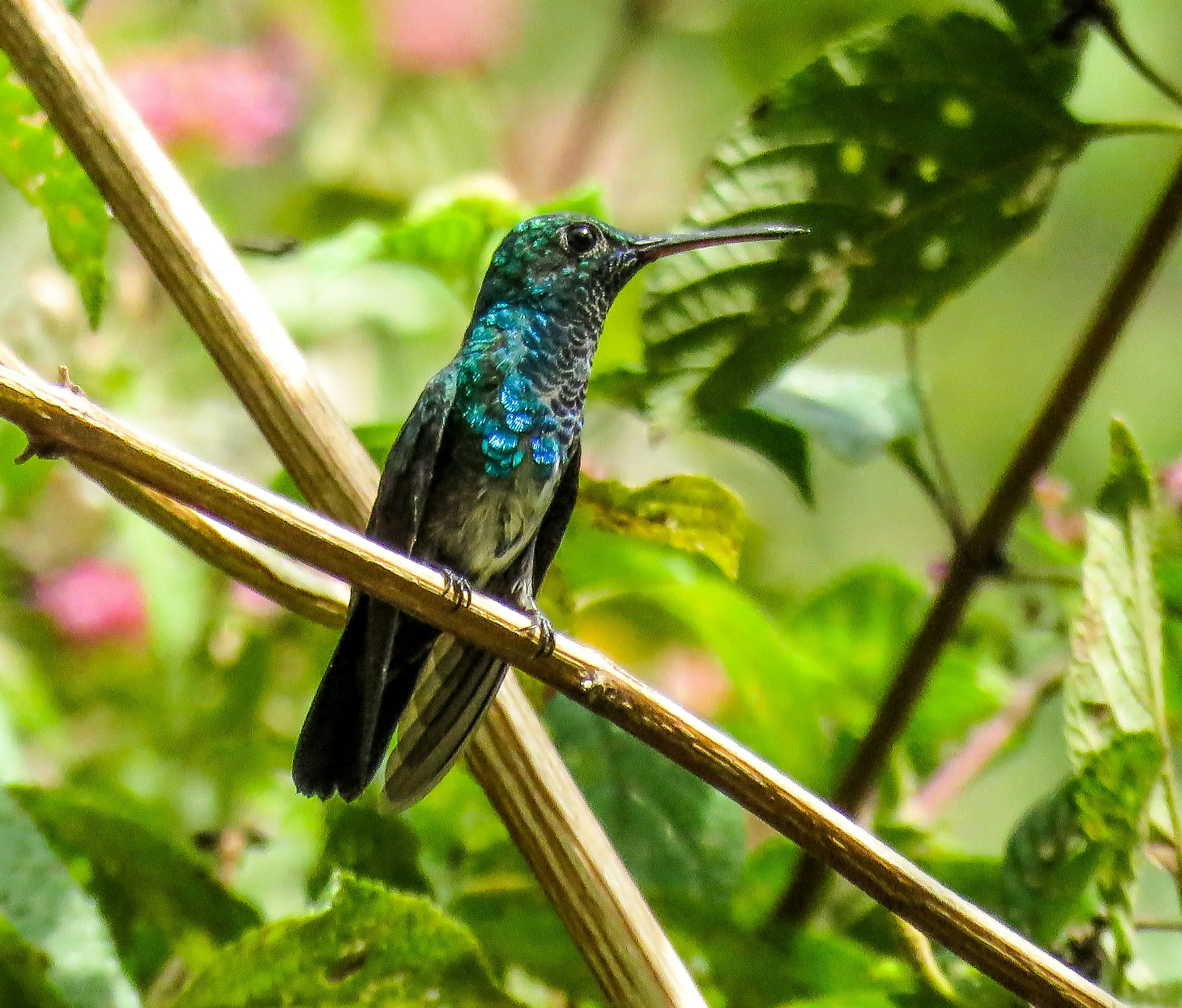 Photo by dienyportinanni