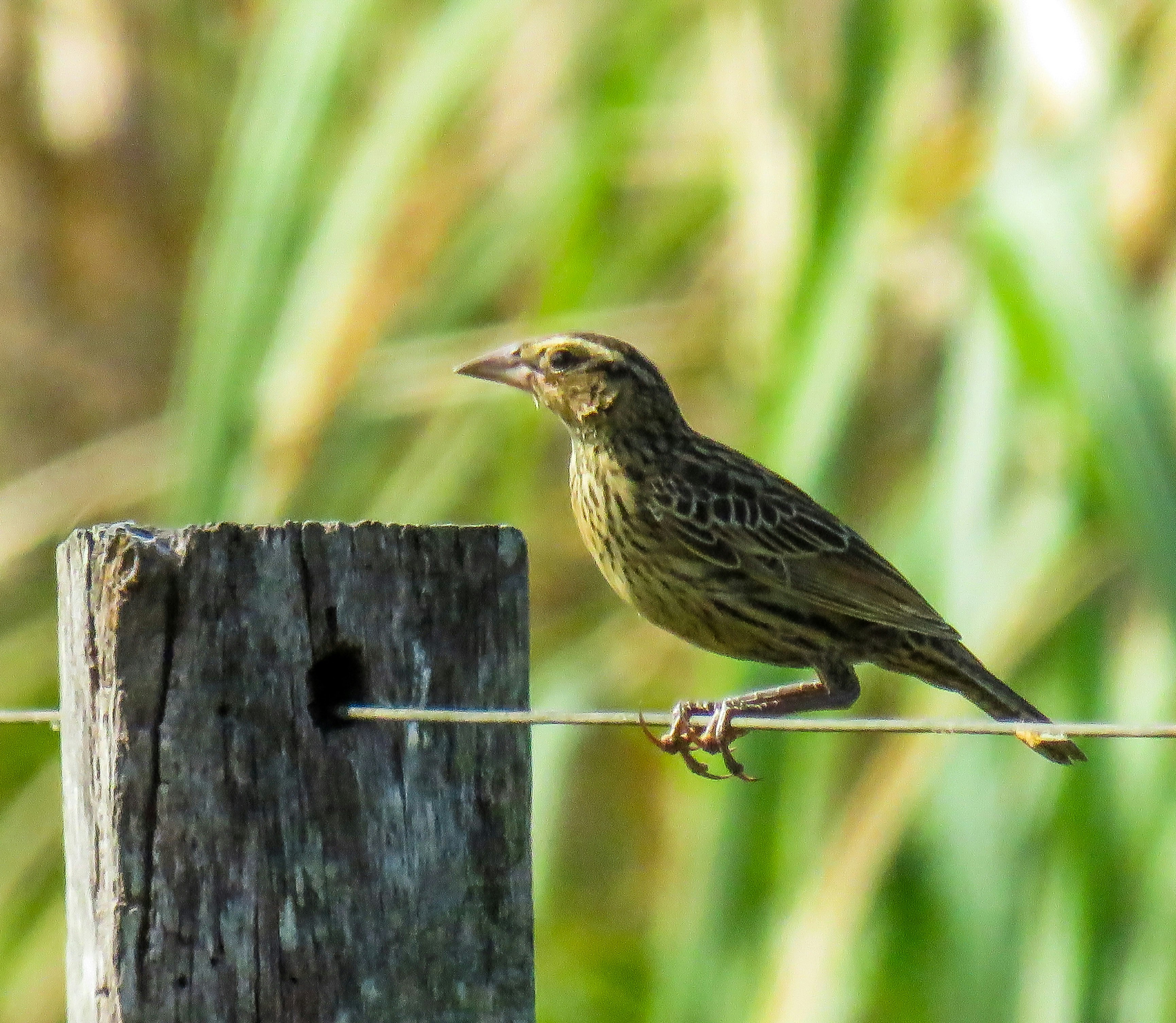 Photo by dienyportinanni