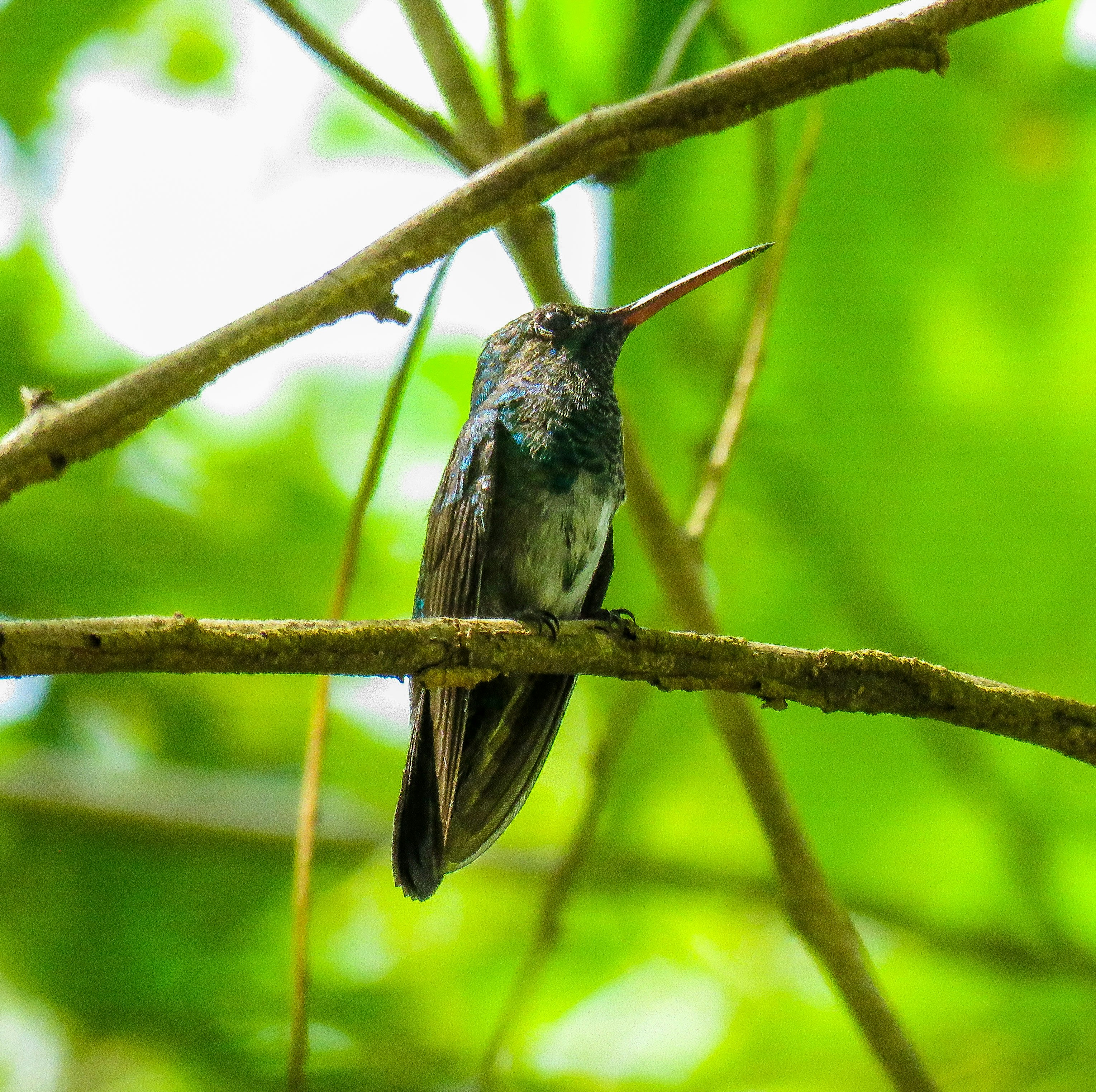 Photo by dienyportinanni