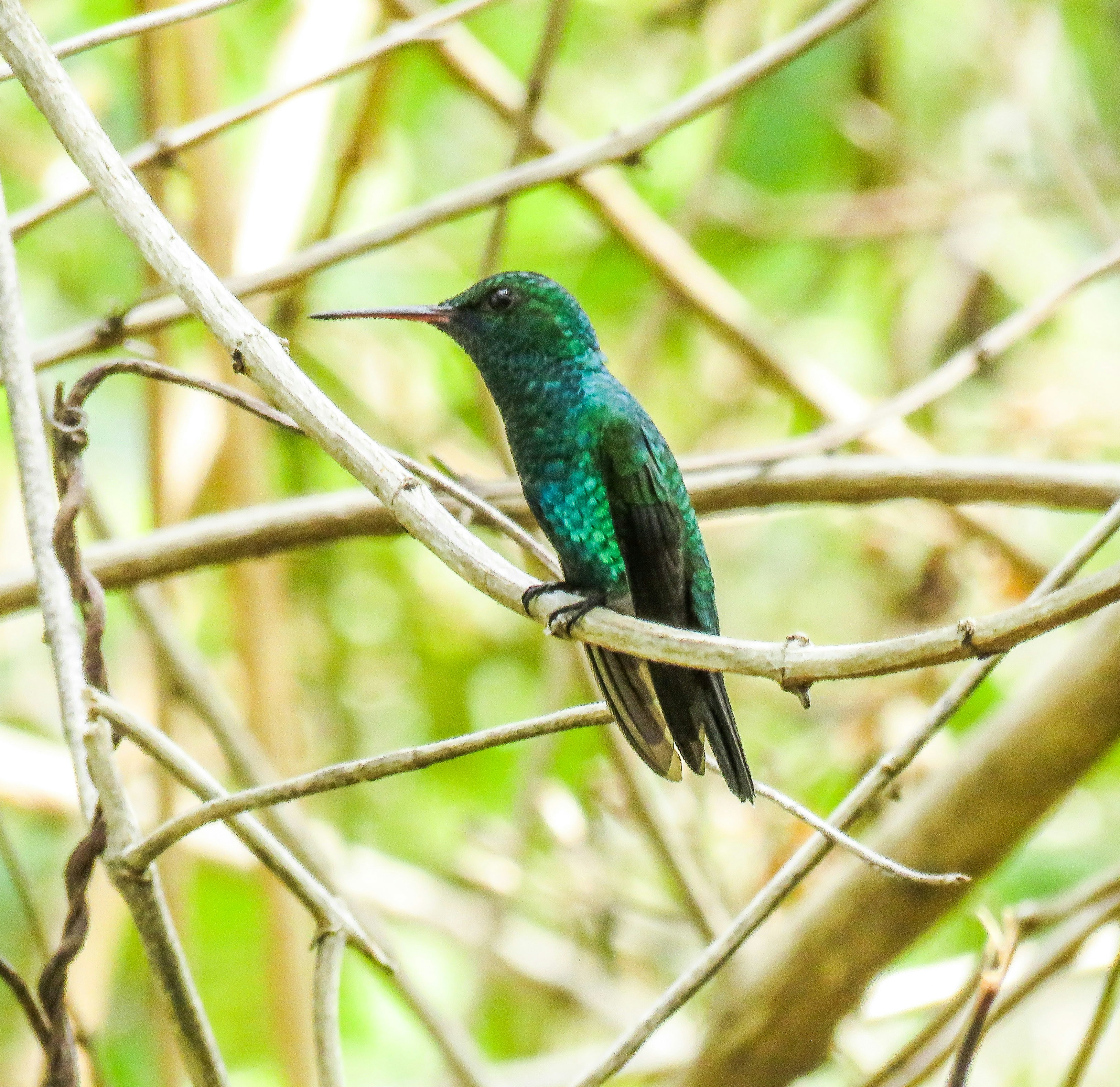 Photo by dienyportinanni