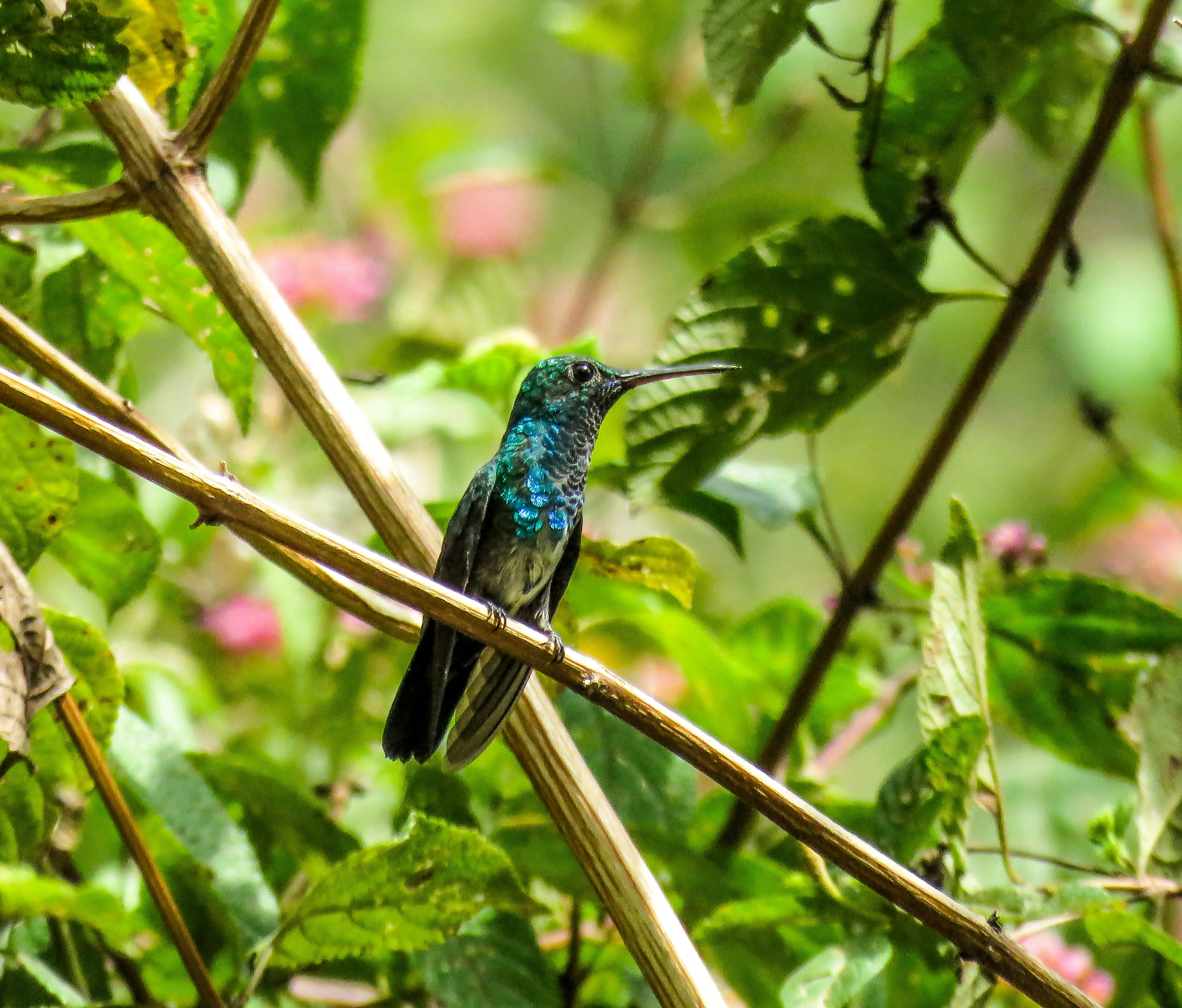 Photo by dienyportinanni