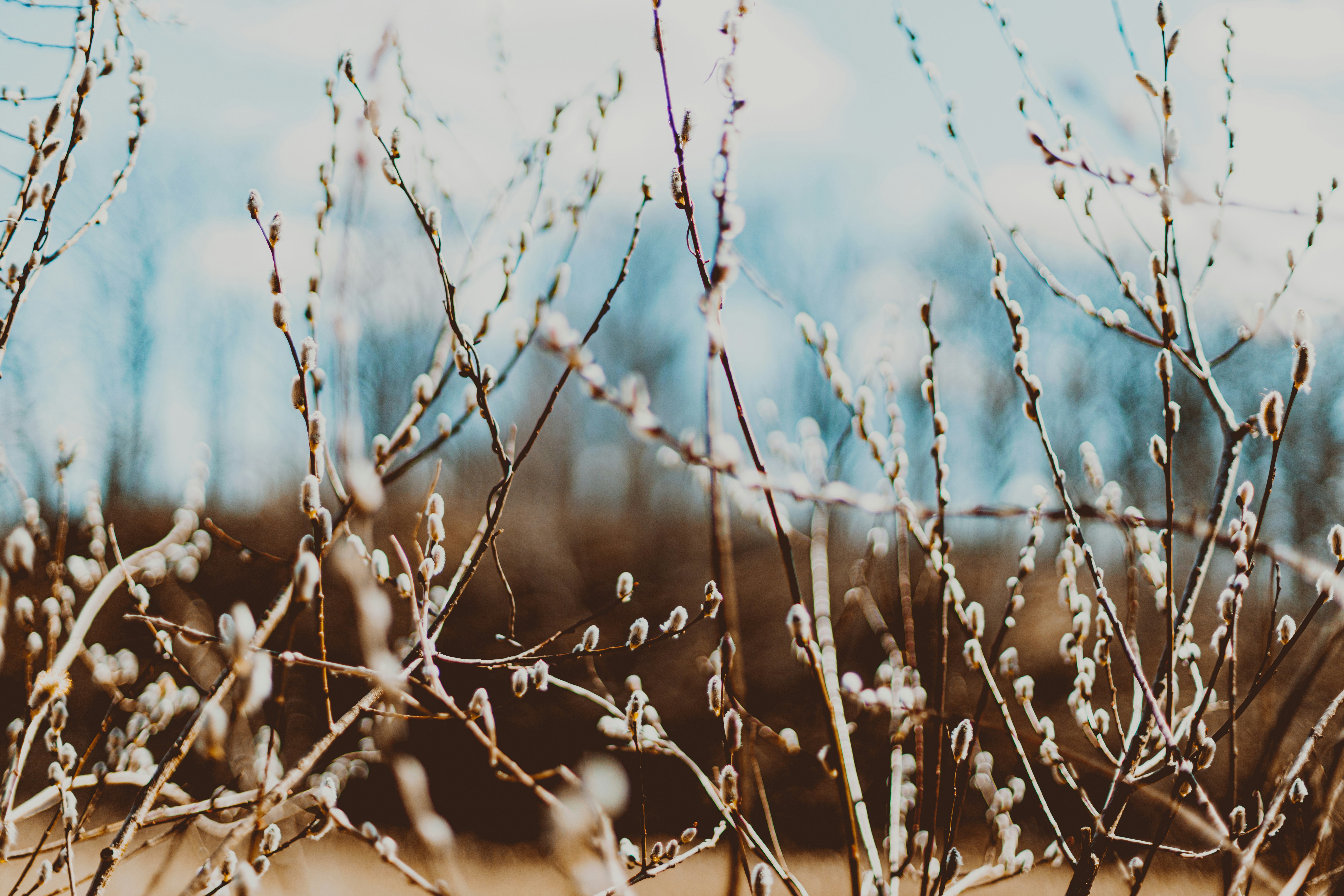 Photo by greenyang10