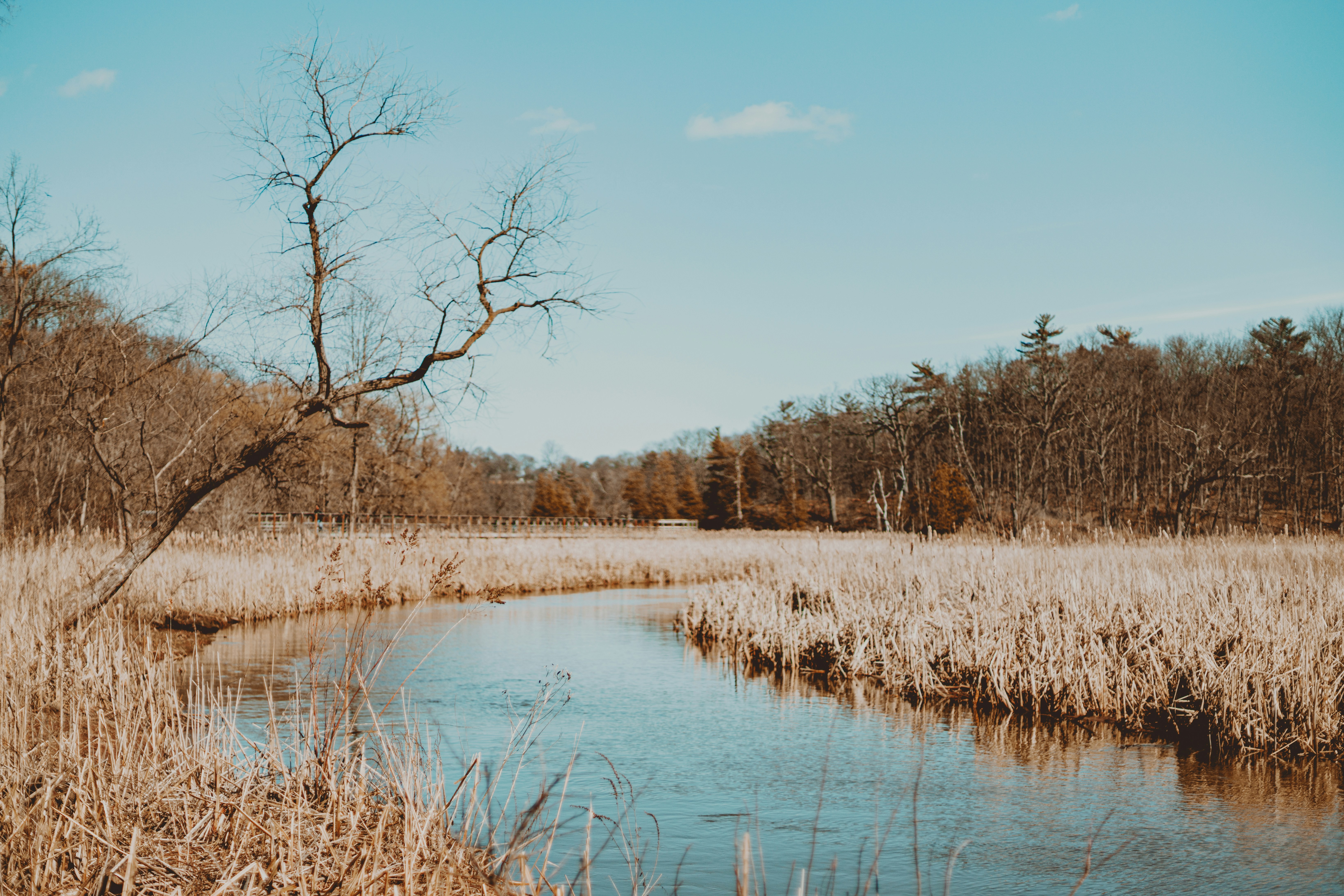 Photo by greenyang10