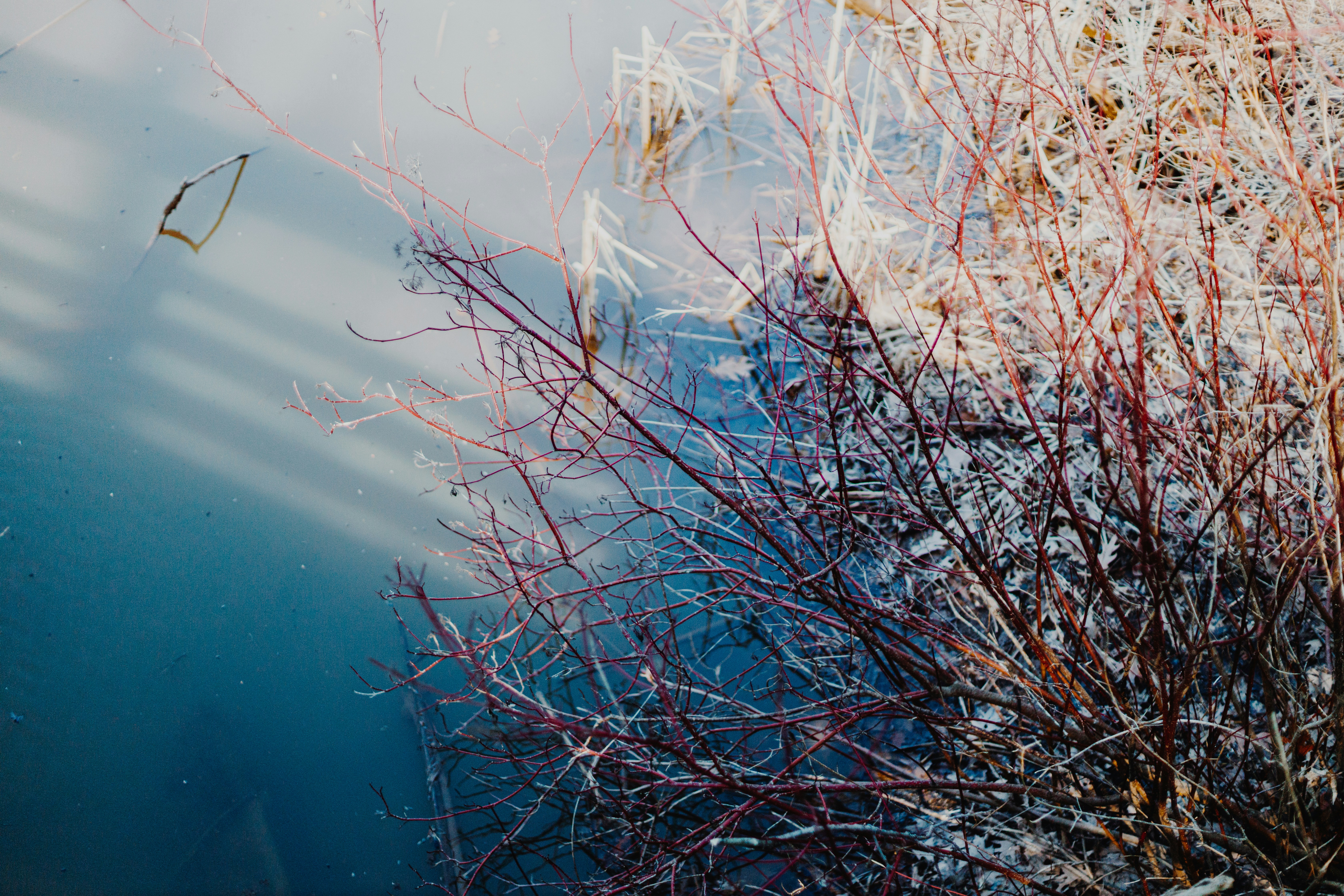 Photo by greenyang10