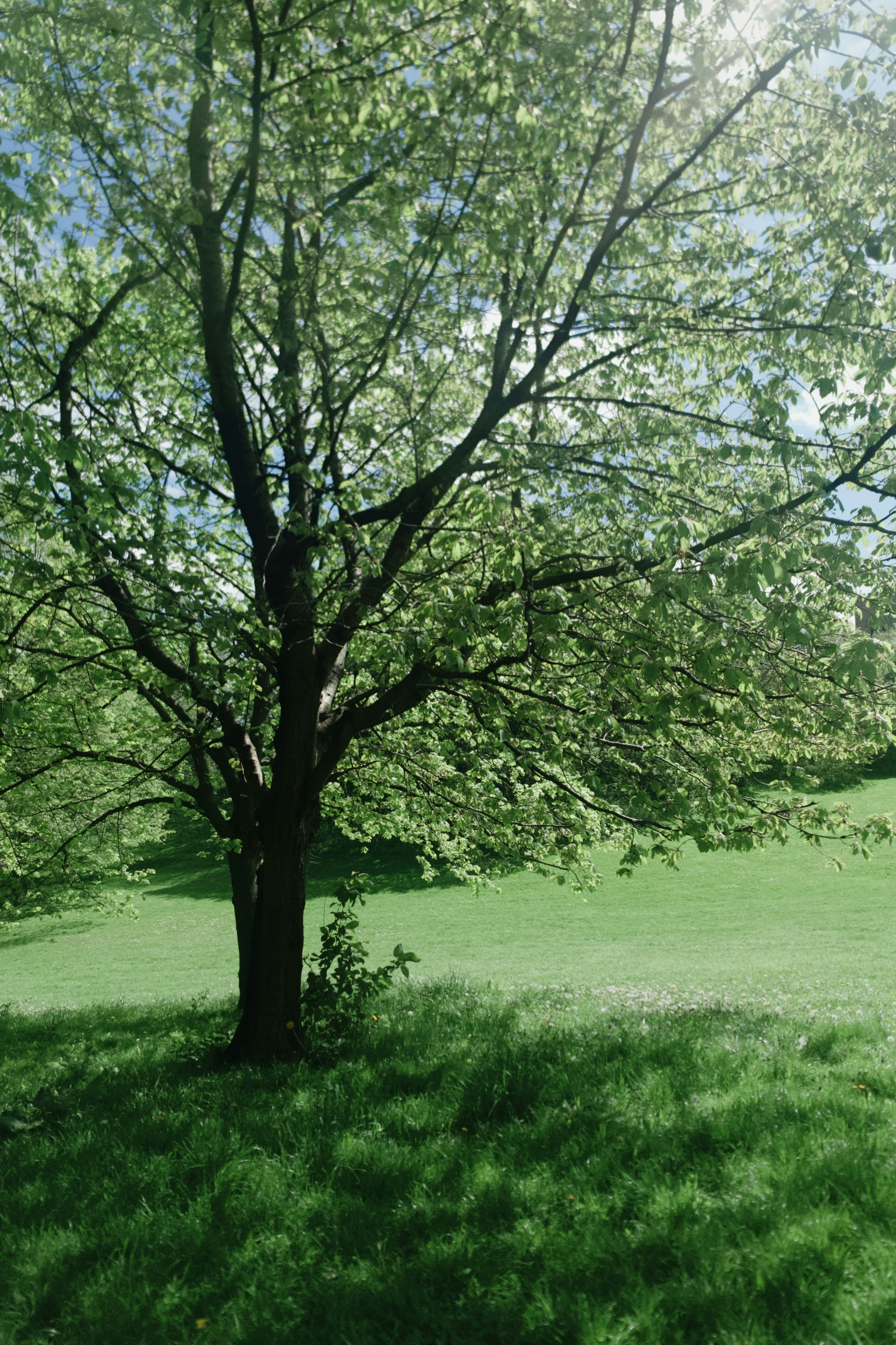 Photo by thirstydoge