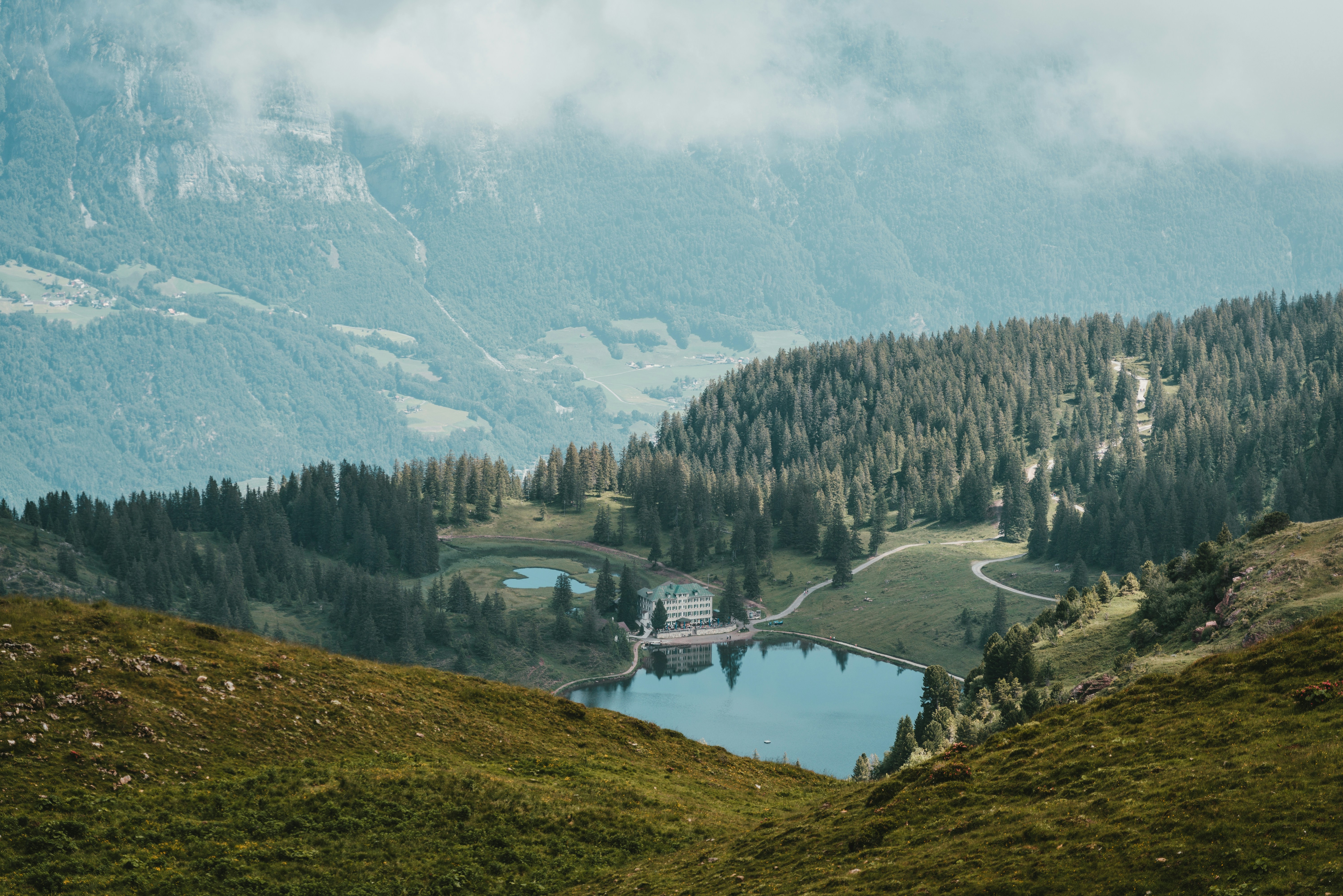 Photo by purzlbaum