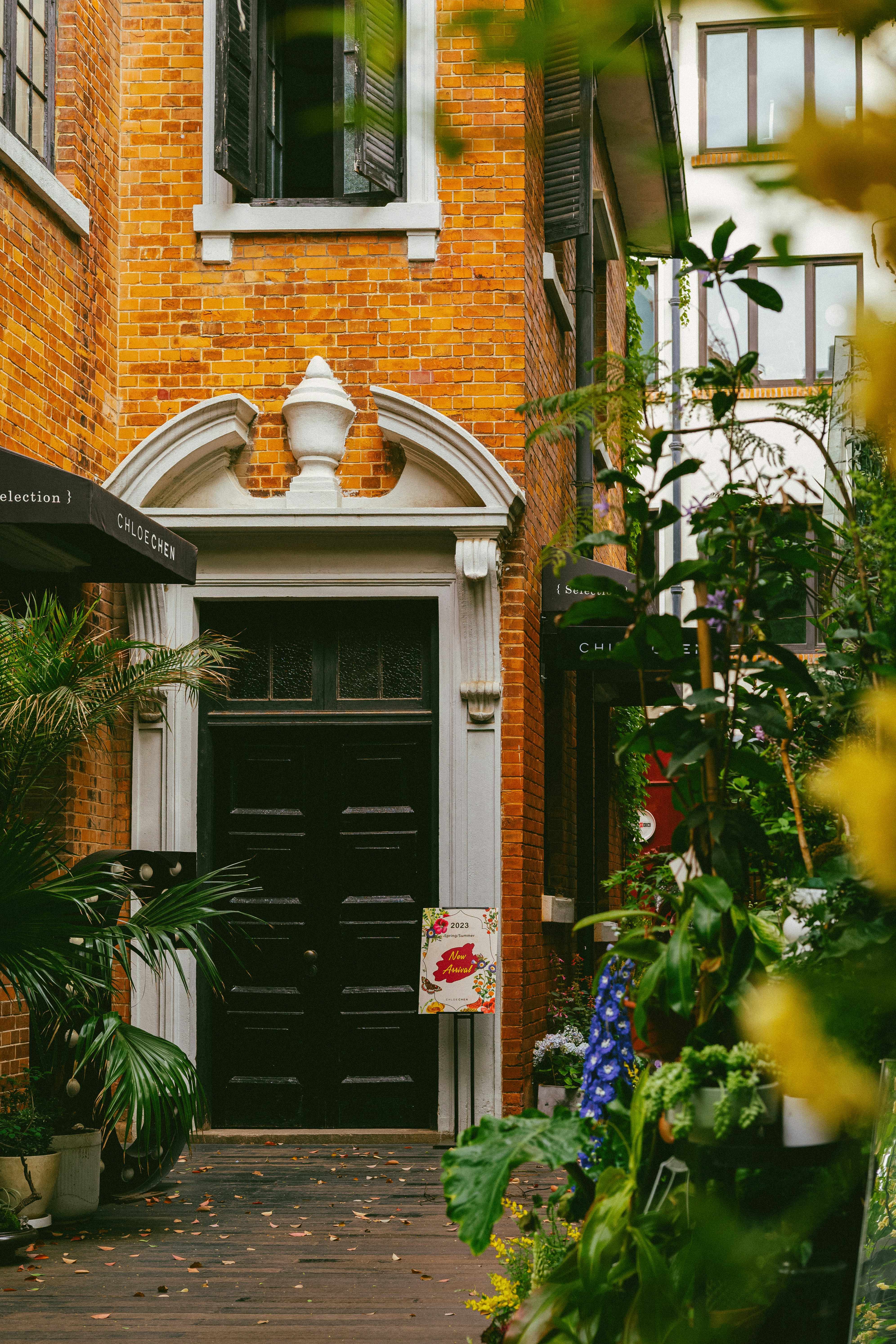 Photo by tommaomaoer