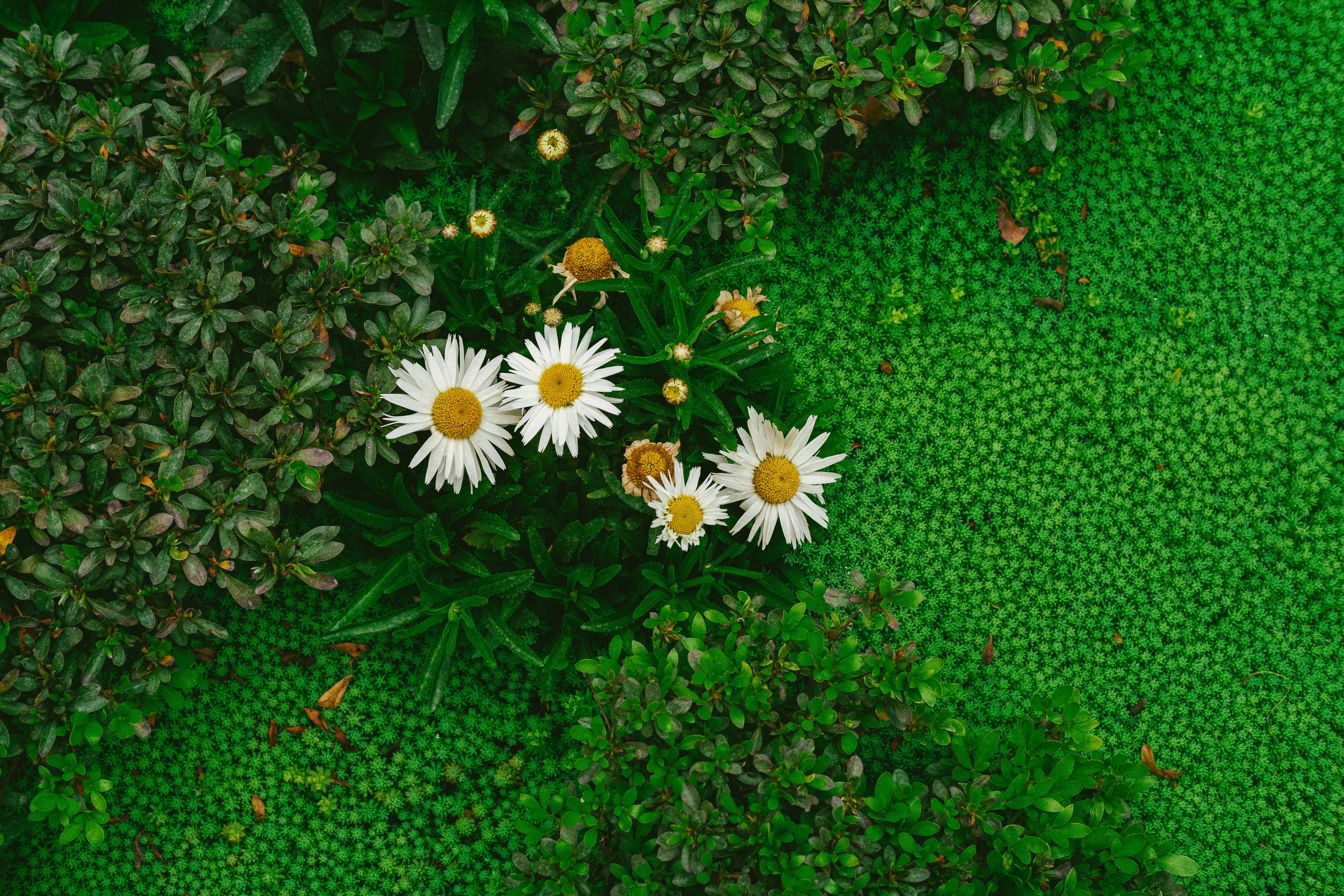Photo by tommaomaoer