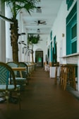 a long hallway with chairs and a palm tree