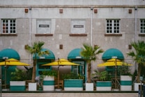 A building facade with a modern design, featuring large windows and a stone exterior. In front of the building are several green potted palm trees, under turquoise awnings, accompanied by yellow umbrellas, creating a vibrant street caf&eacute; setting.