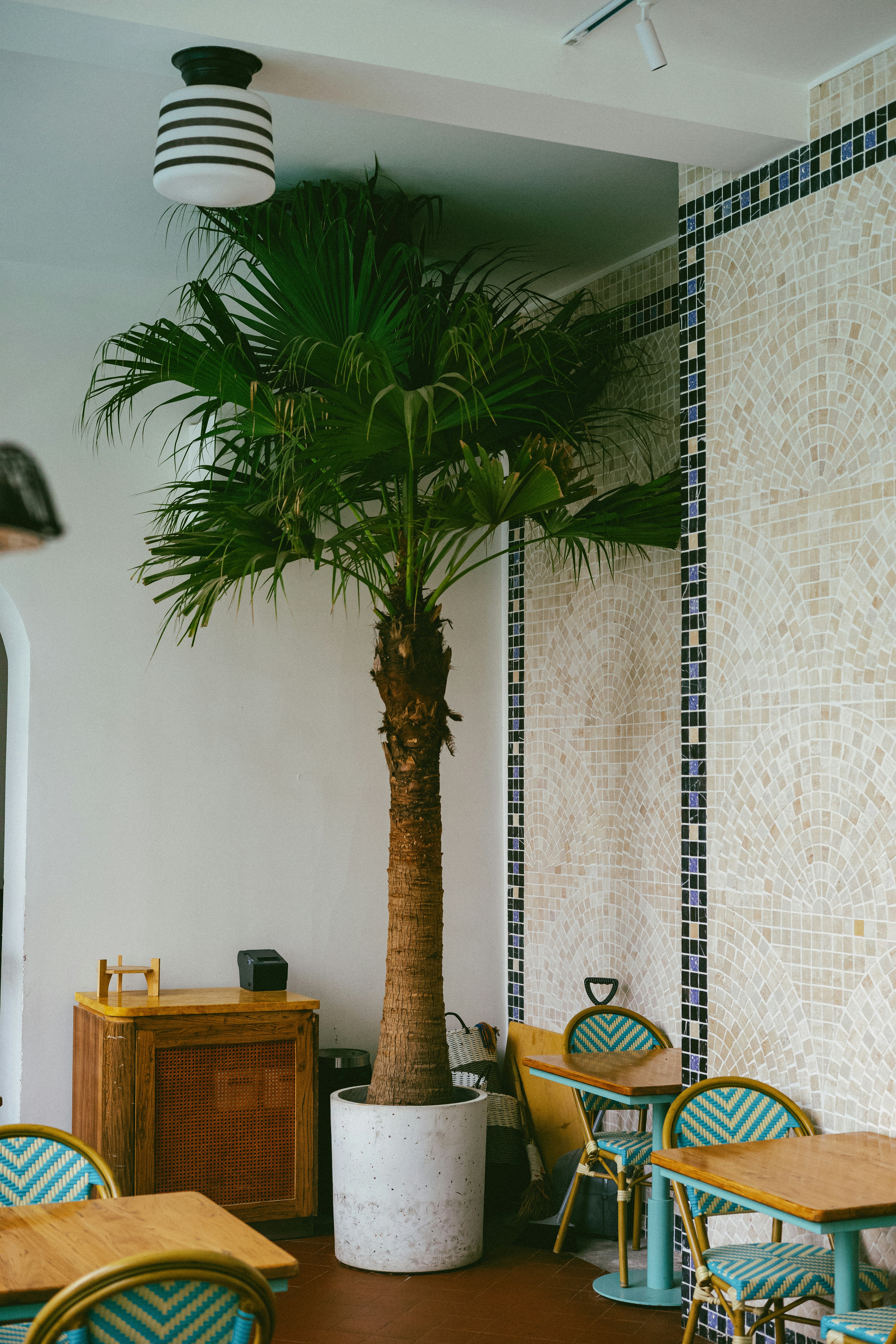 Photo by tommaomaoer