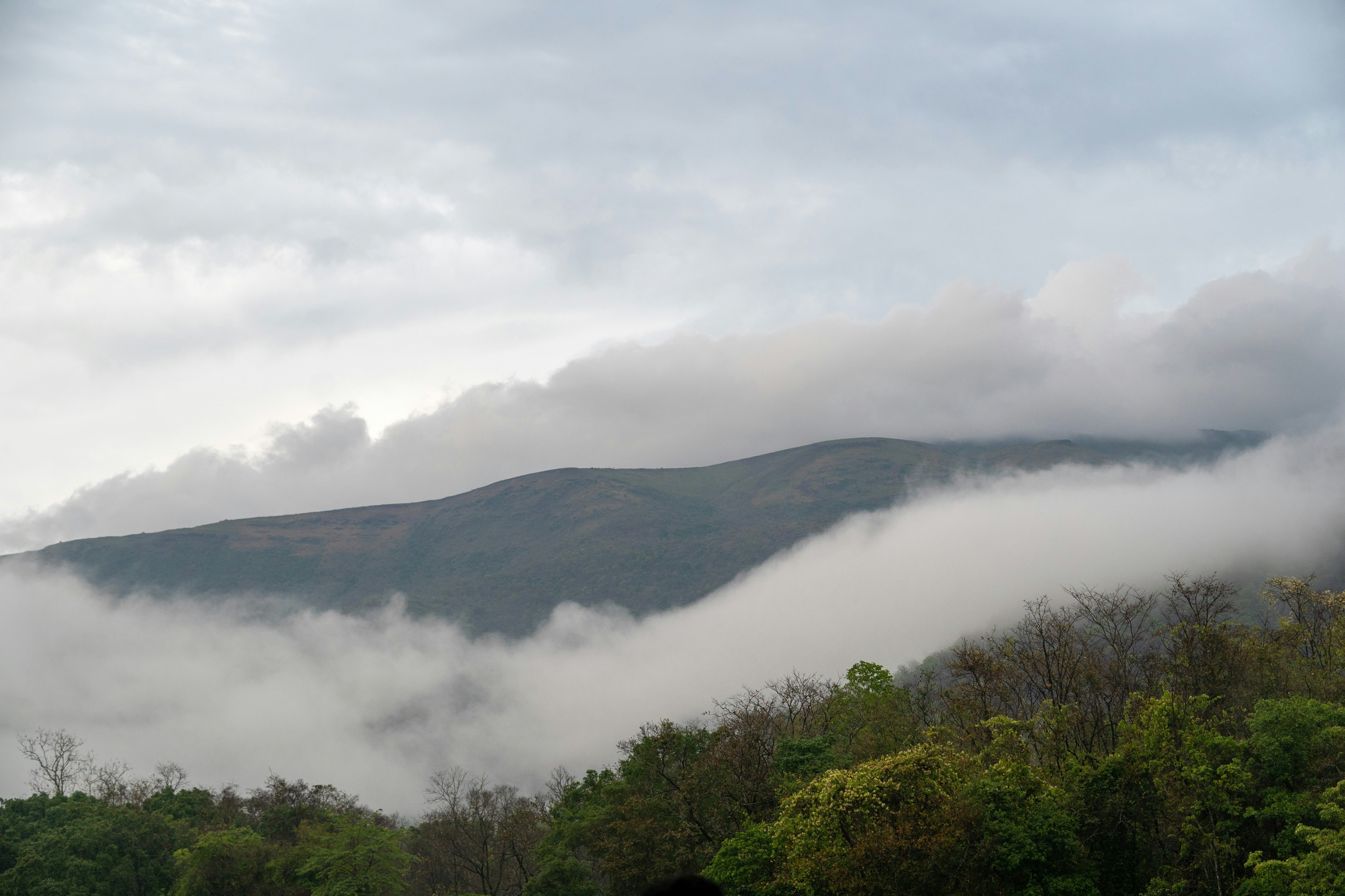 a mountain covered in clouds and trees on a cloudy day