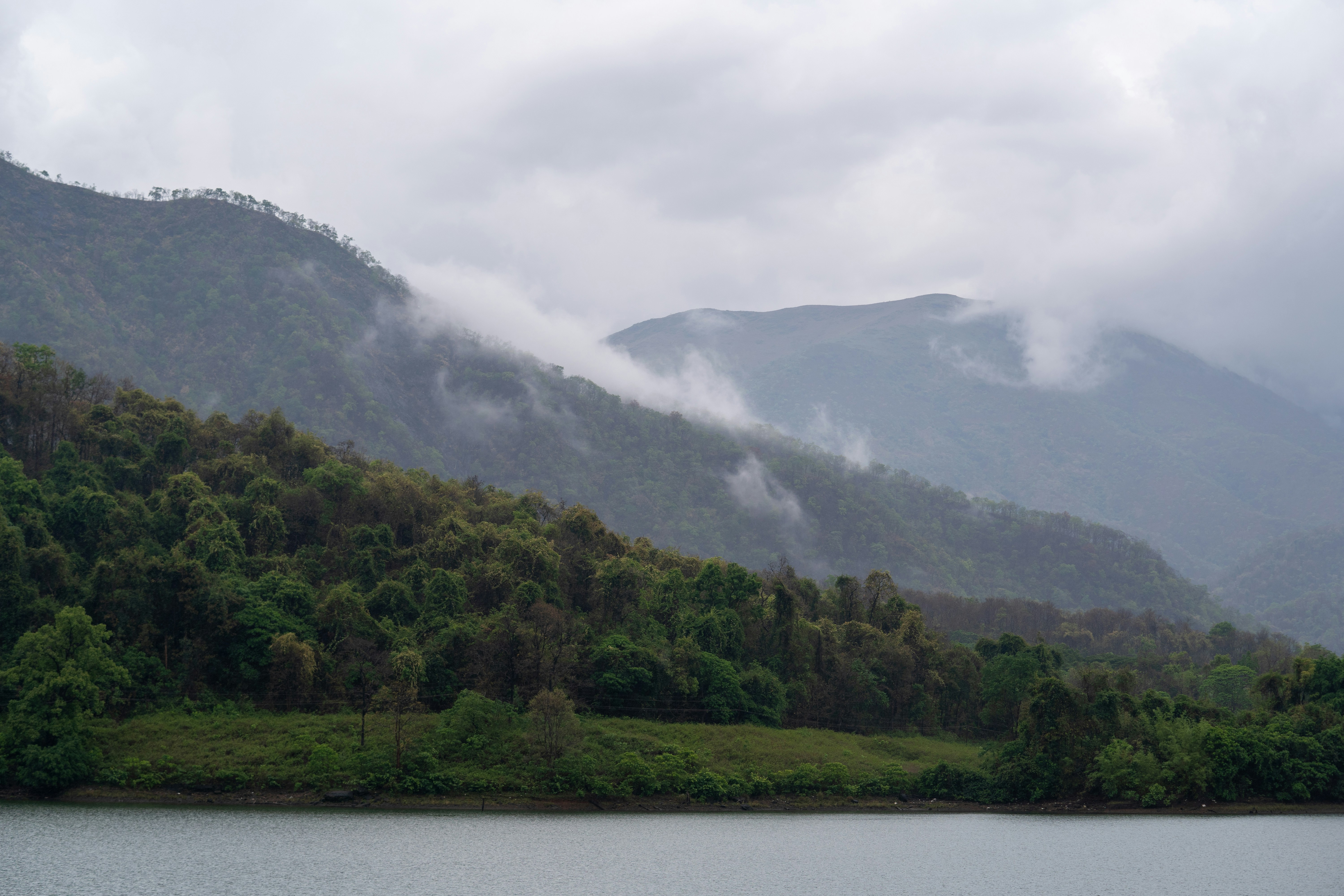 a body of water surrounded by a lush green hillside