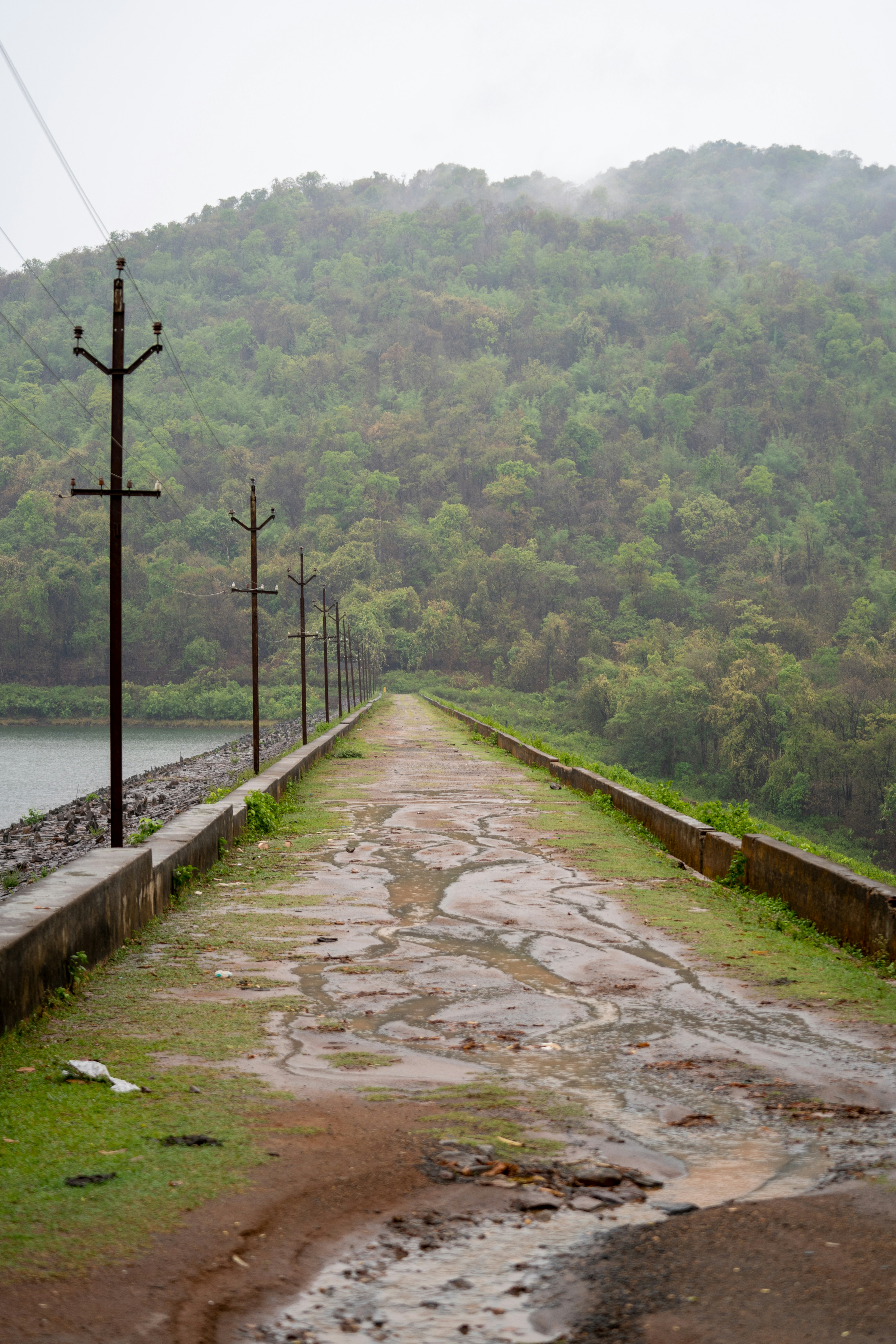 a wet road with power lines on the side of it