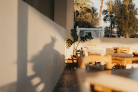 A sunlit outdoor cafe scene with wooden tables and chairs arranged neatly. The setting has a tranquil vibe with a large potted plant casting interesting shadows on a white wall. In the background, there are trees and a partially visible white pergola or canopy structure.