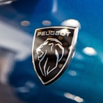 a close up of the emblem on a blue car