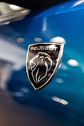 a close up of the emblem on a blue car