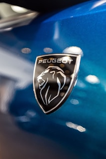 a close up of the emblem on a blue car
