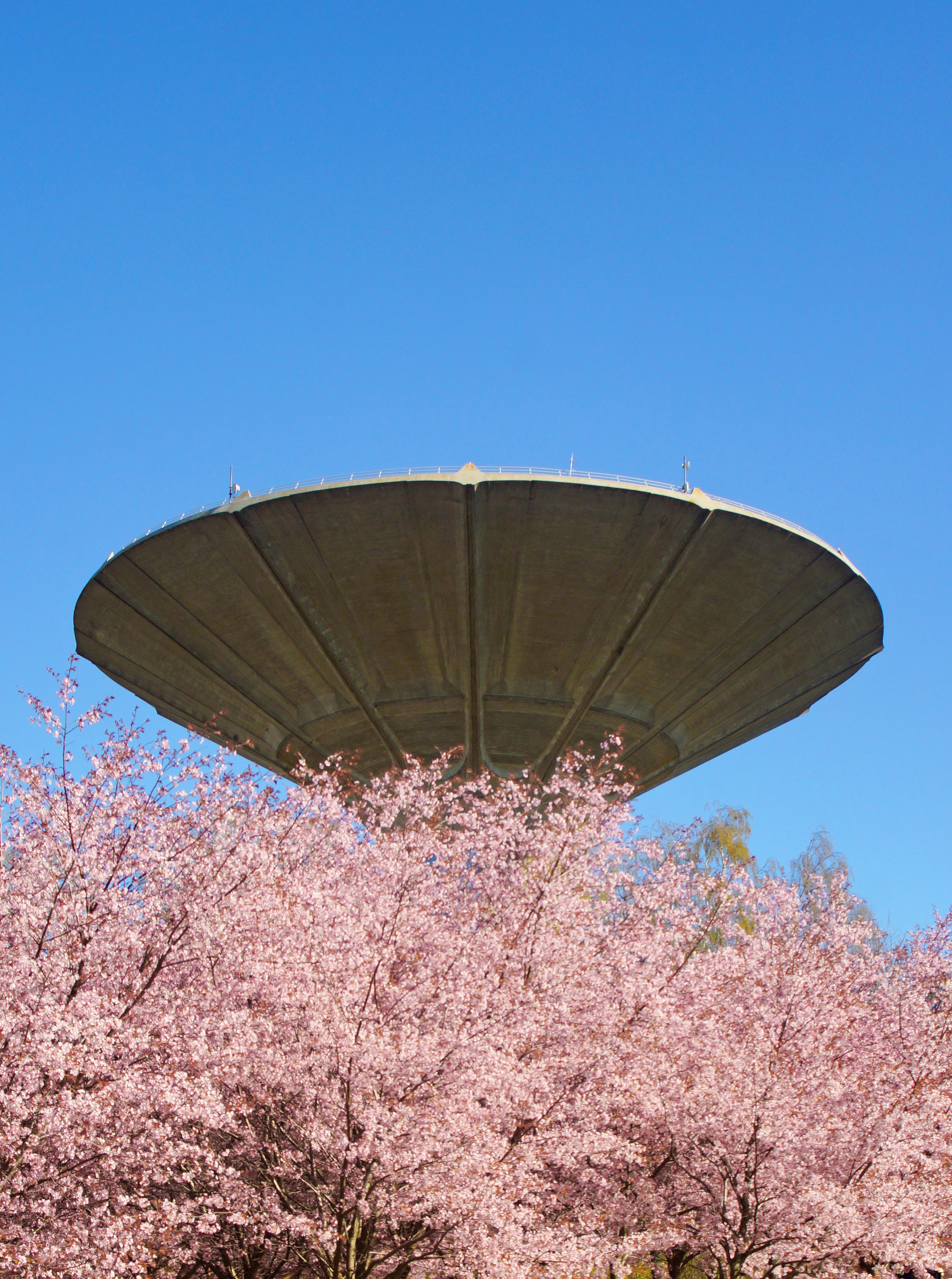 Photo by marttisalmi