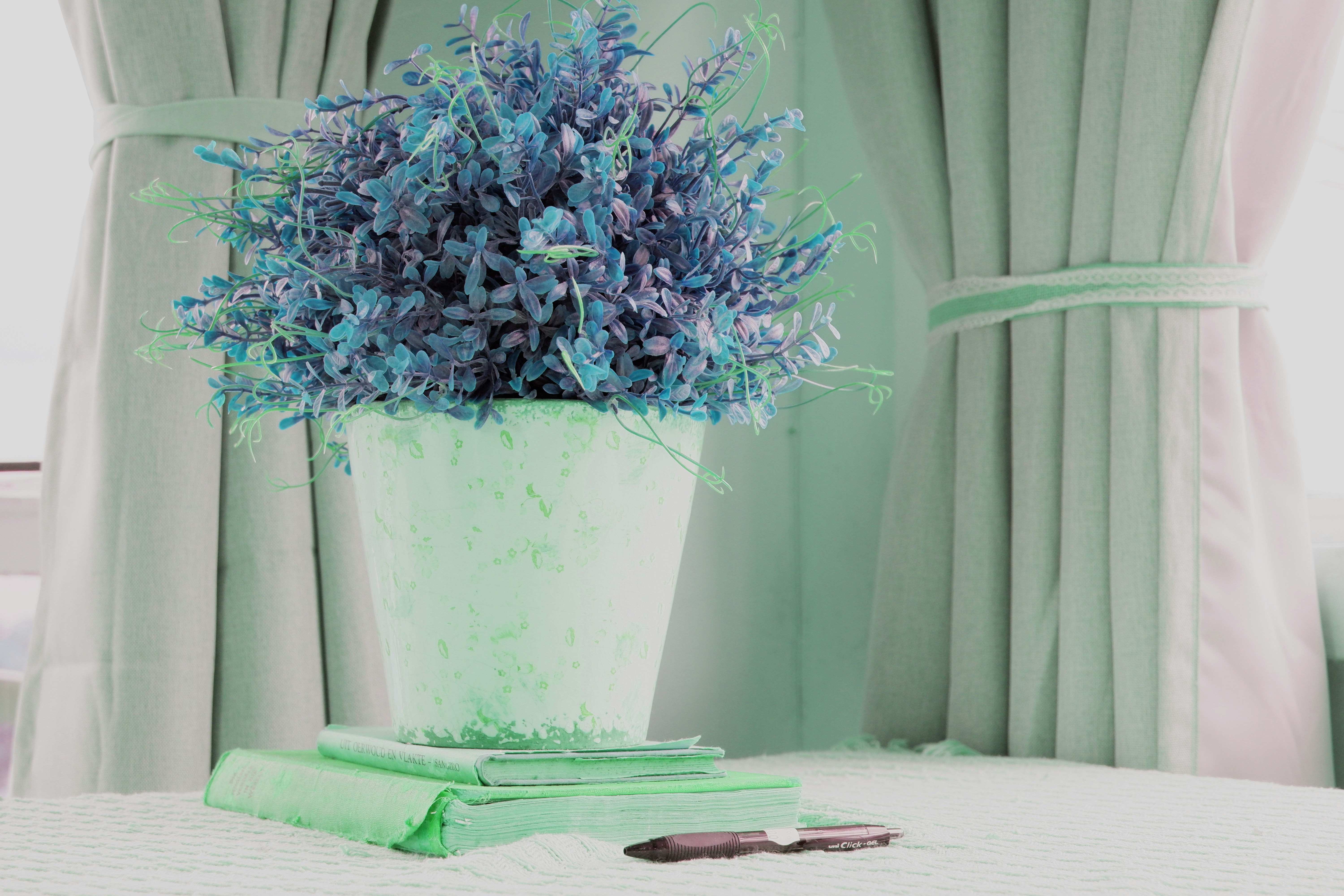 a potted plant sitting on top of a table
