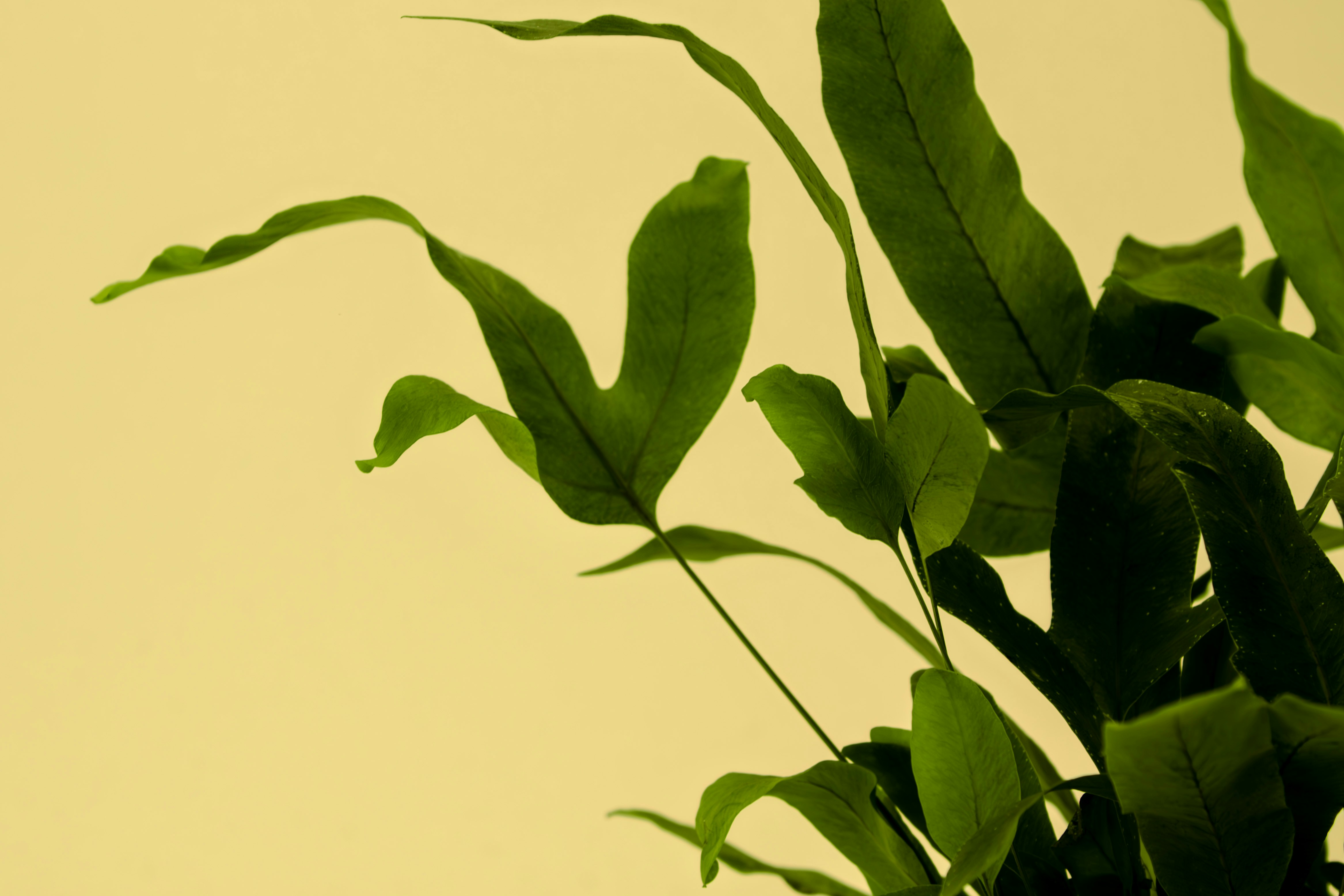 Photo by parkerdesignsss