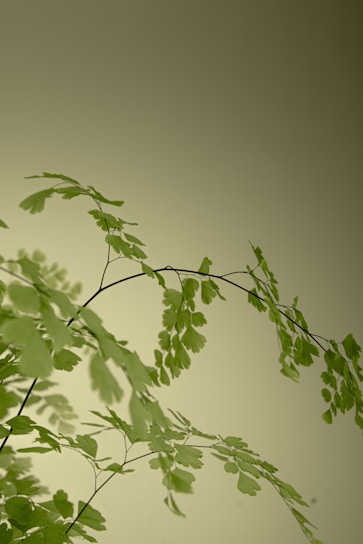 A serene forest green background with subtle golden lines framing a sophisticated corporate gathering.