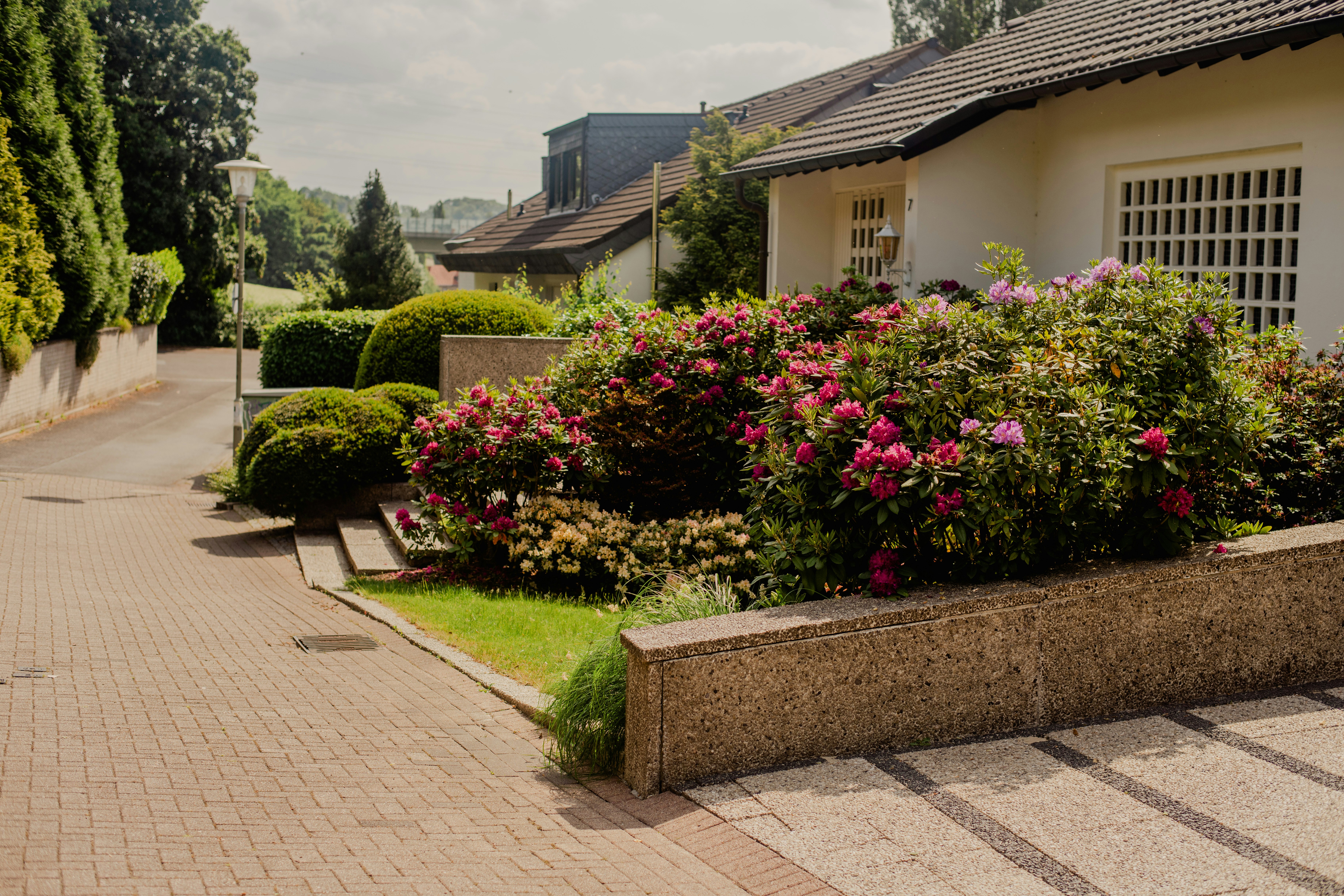 Photo by eugenivy_now