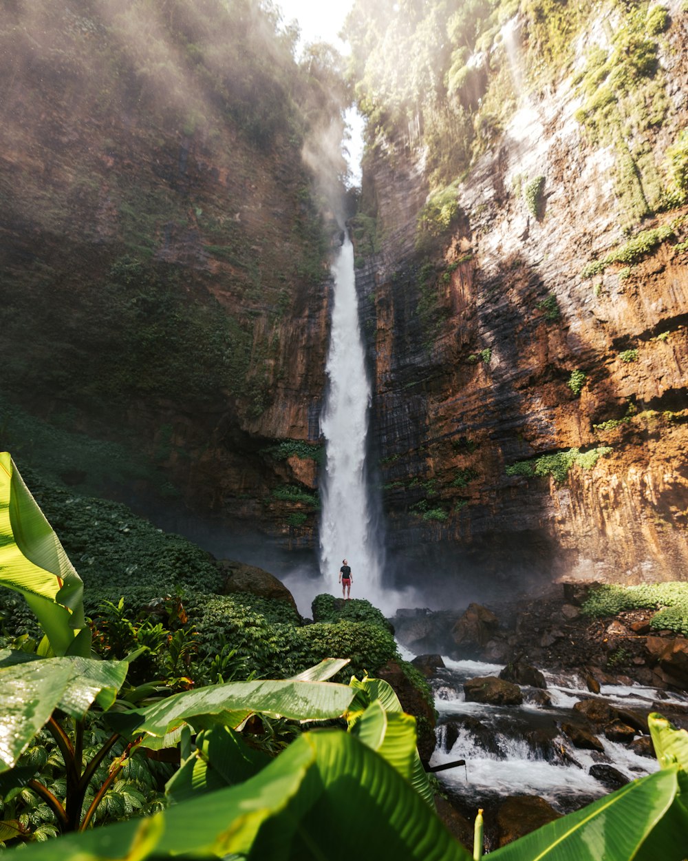 a person standing in front of a waterfall