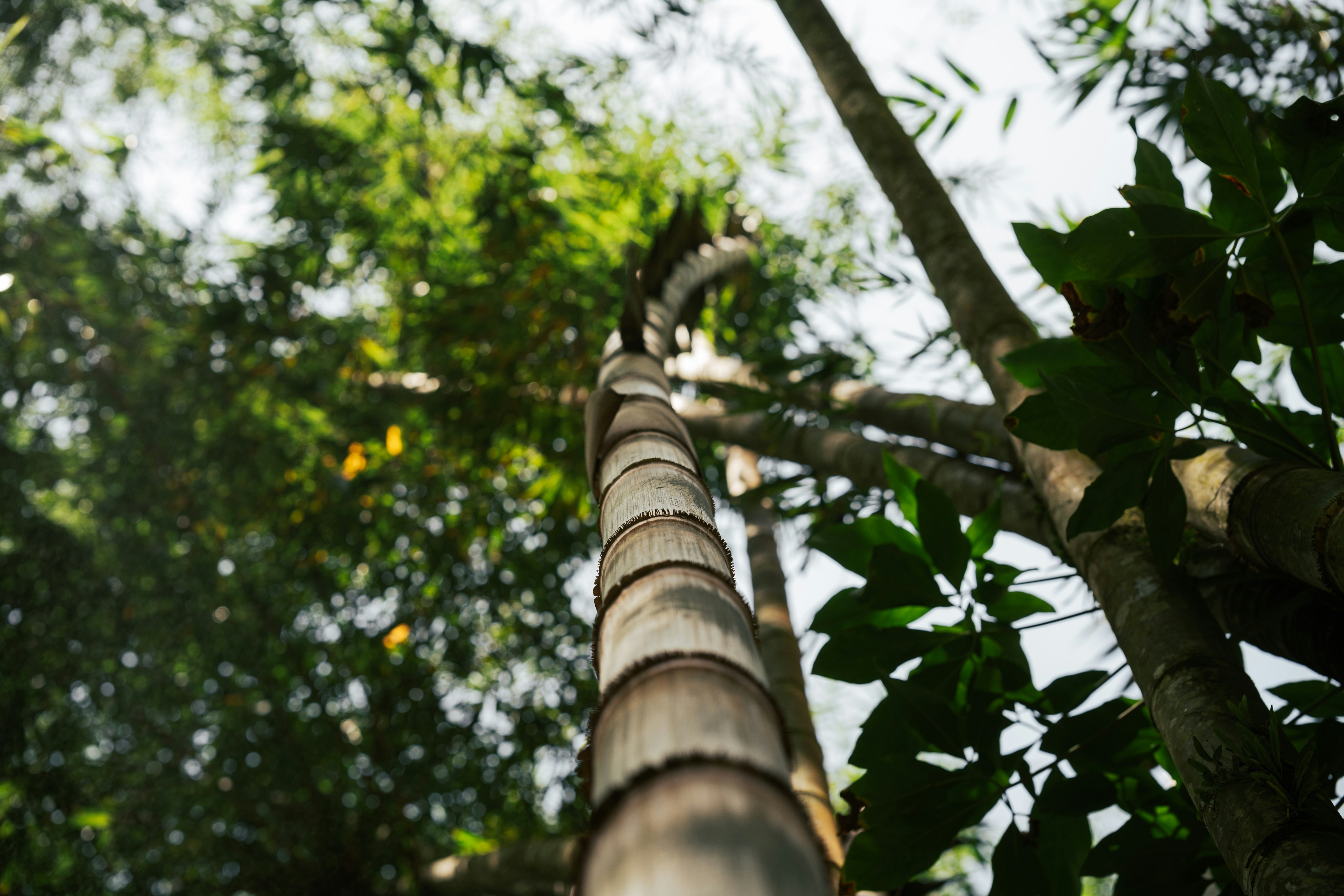 Photo by spensersembrat