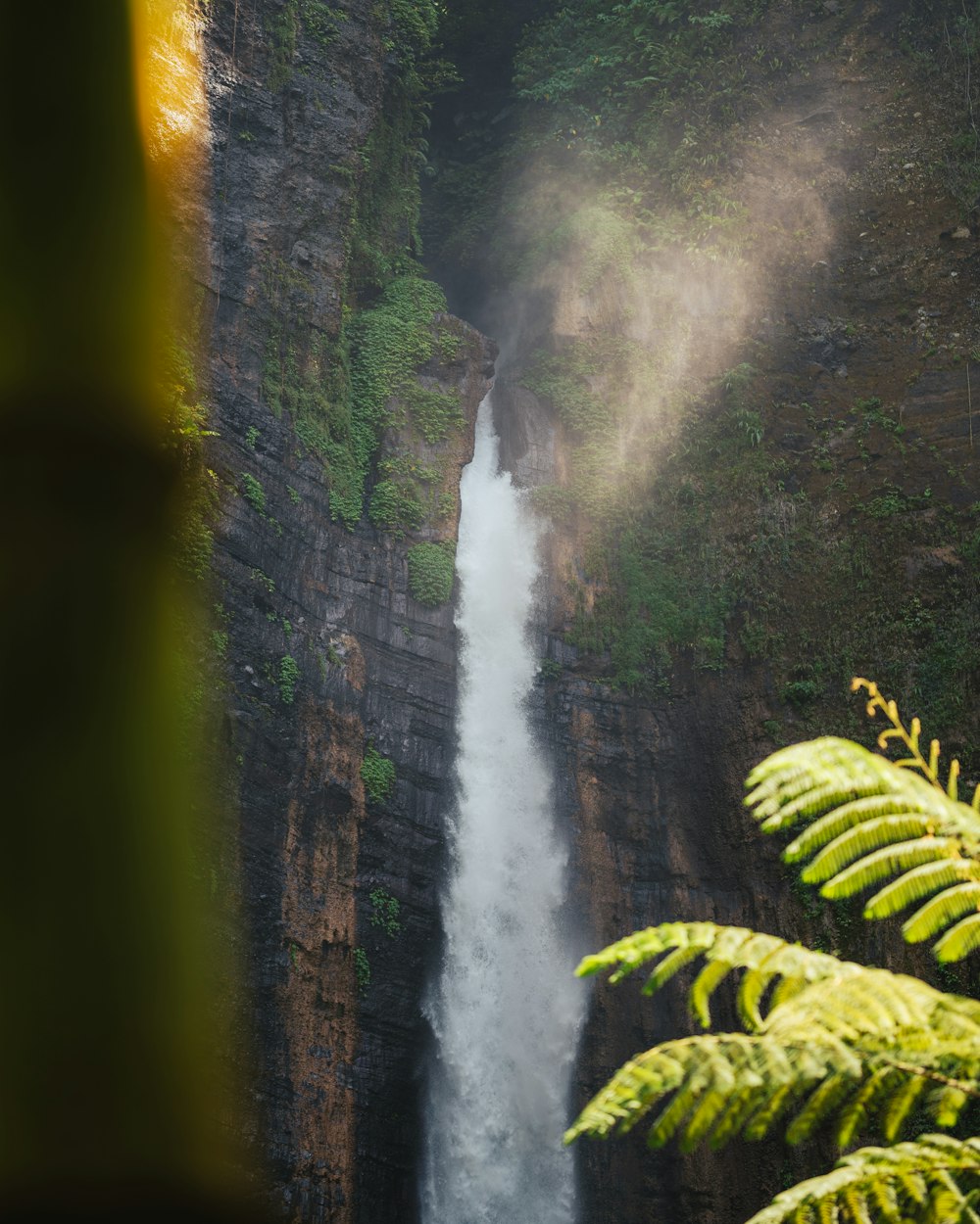 a waterfall is seen from a distance with trees in the foreground