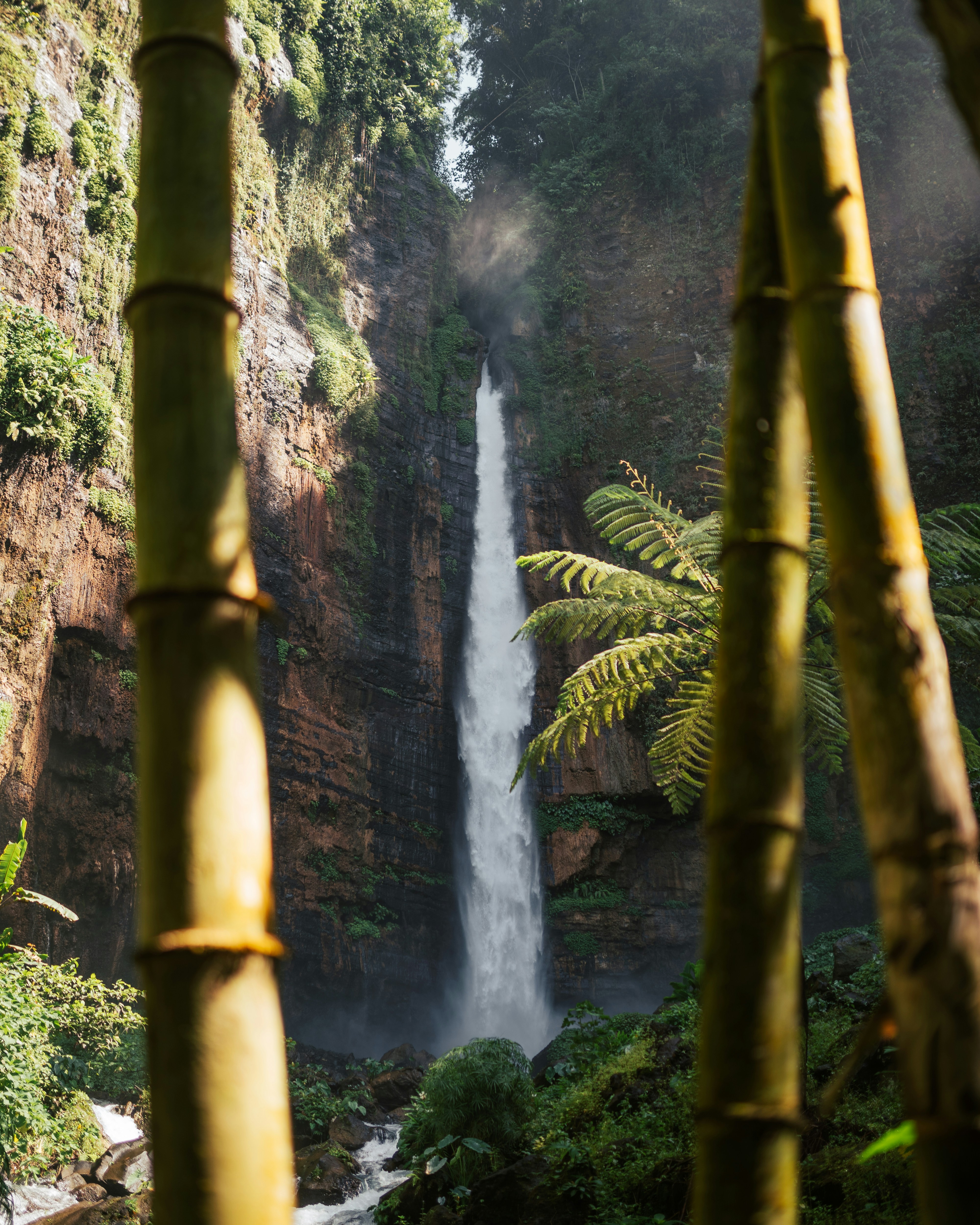 Photo by spensersembrat