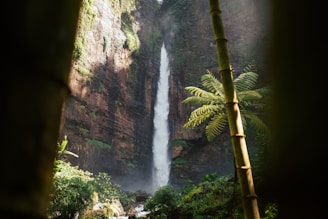 a tall waterfall in the middle of a forest