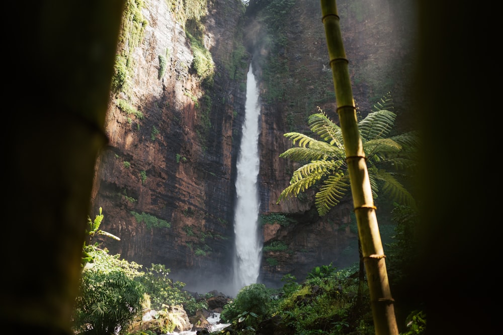 a tall waterfall in the middle of a forest