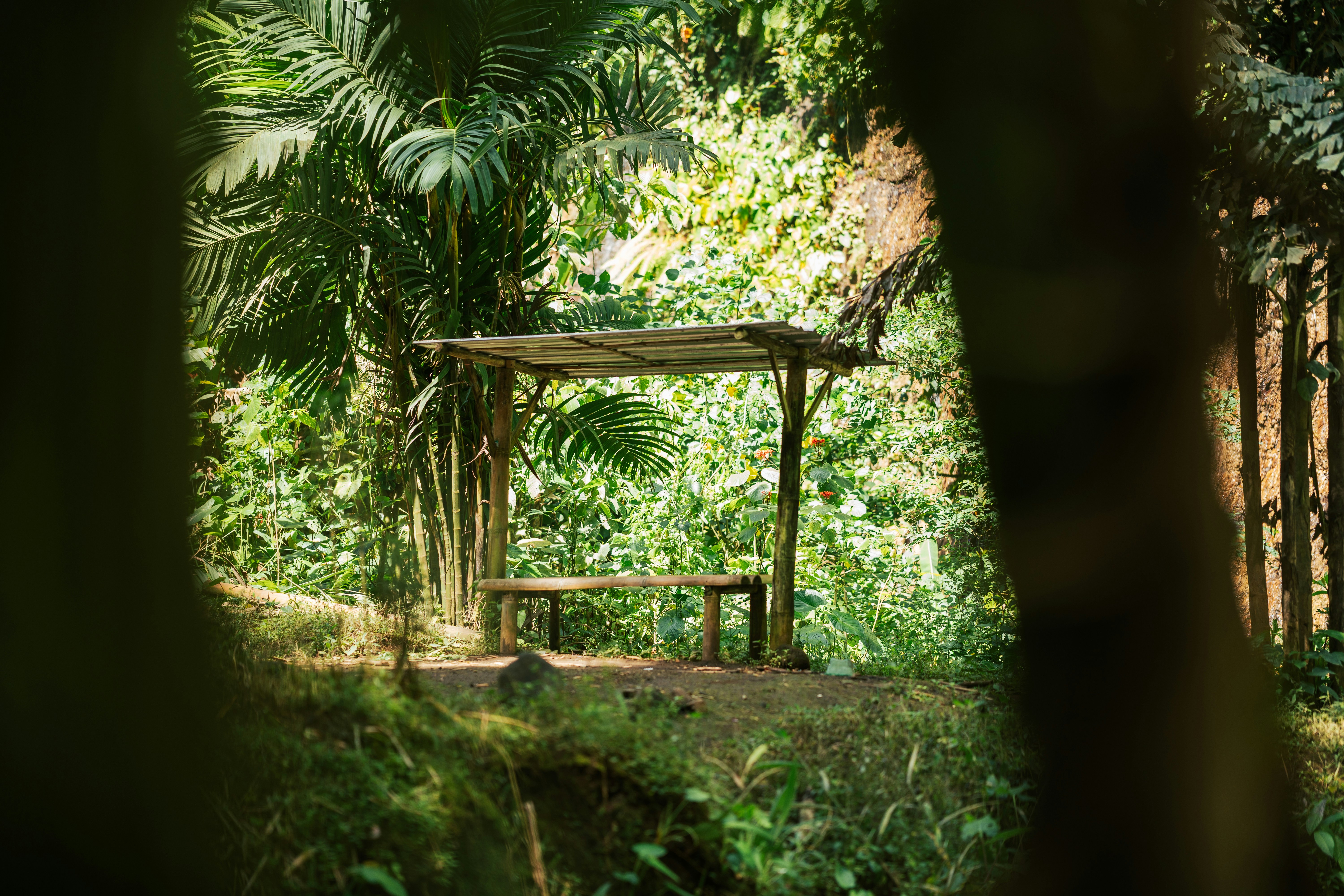 Photo by spensersembrat