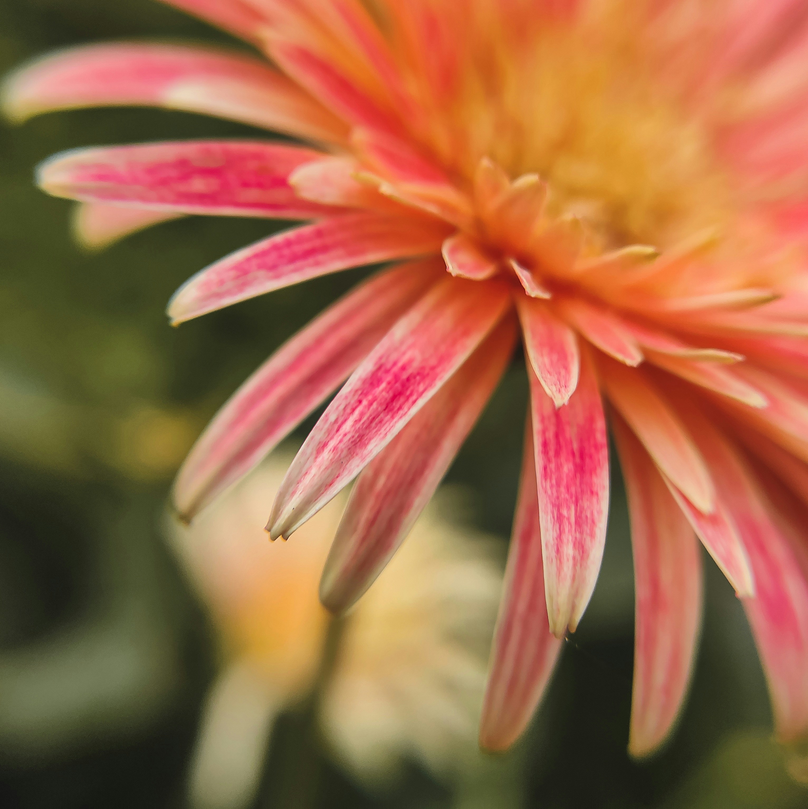 Photo by damnfotographer