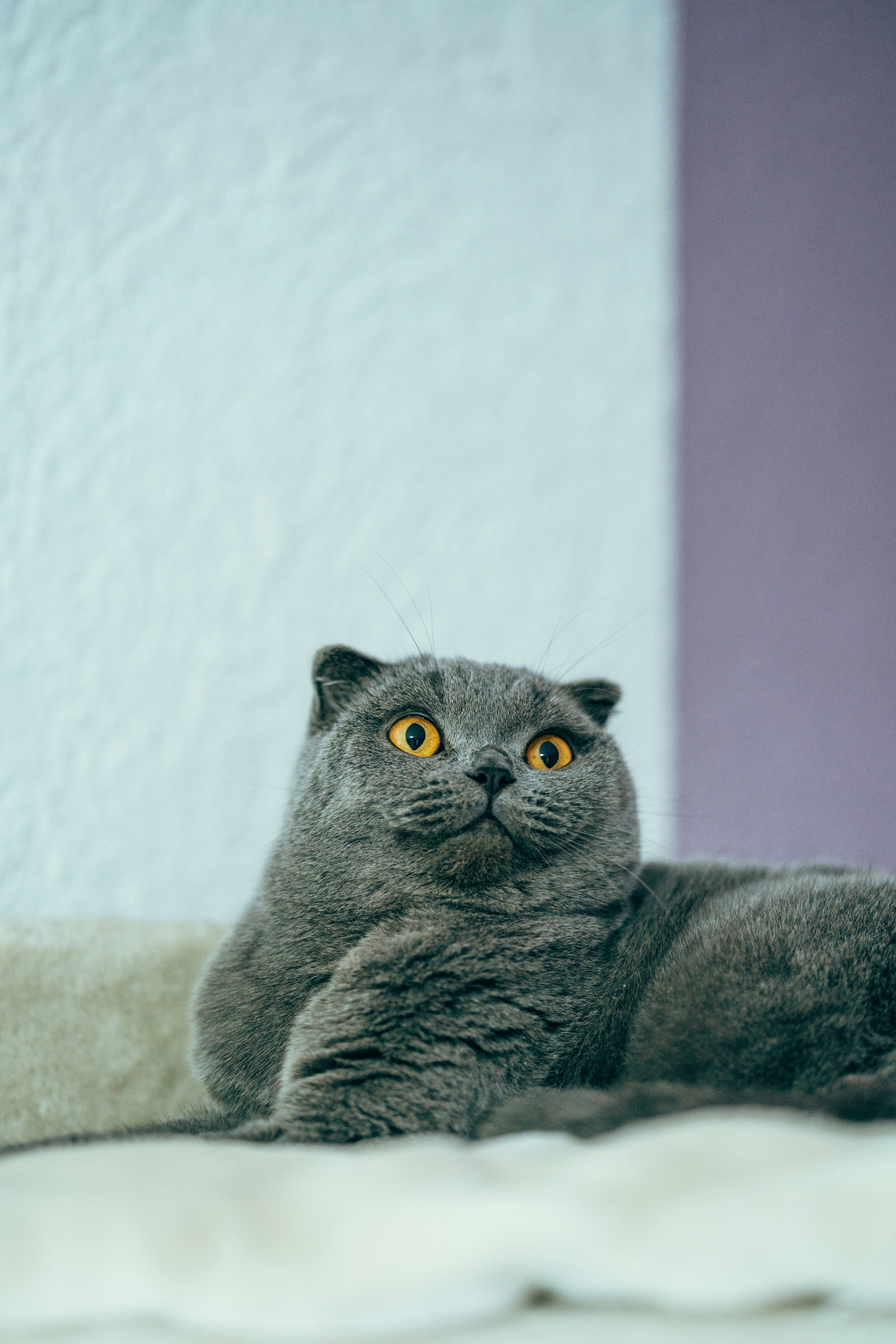 Photo by omarvellous14