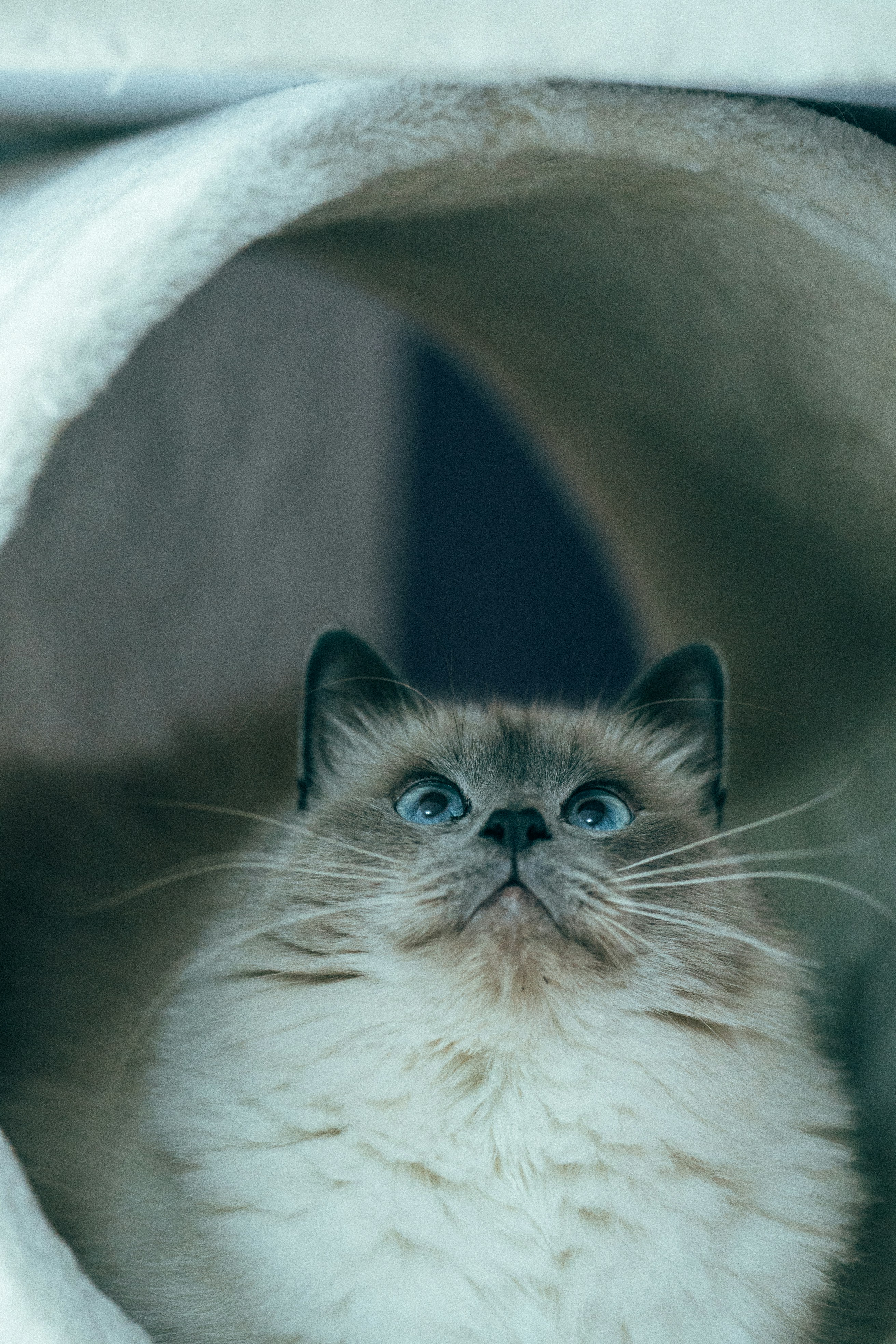 Photo by omarvellous14