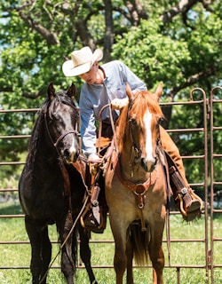 A person wearing a cowboy hat is riding a brown horse, standing next to a black horse. They are outdoors, surrounded by greenery and trees, with a metal fence in the background. The scene is sunlit, adding a warm glow to the setting.