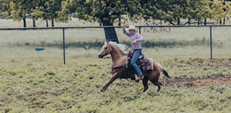 A person wearing a cowboy hat is riding a brown horse energetically in a fenced grassy area. The rider is holding one arm up, and there are trees and a fence in the background.