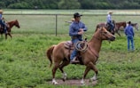 A man wearing a cowboy hat and a plaid shirt rides a light brown horse across a grassy field. Several other individuals on horseback are visible in the background, all wearing cowboy attire. The setting appears to be an open field with a fence line and some trees in the distance.