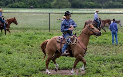 A man wearing a cowboy hat and a plaid shirt rides a light brown horse across a grassy field. Several other individuals on horseback are visible in the background, all wearing cowboy attire. The setting appears to be an open field with a fence line and some trees in the distance.