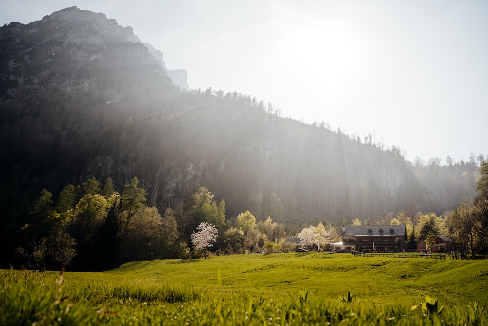 a green field with a house in the background