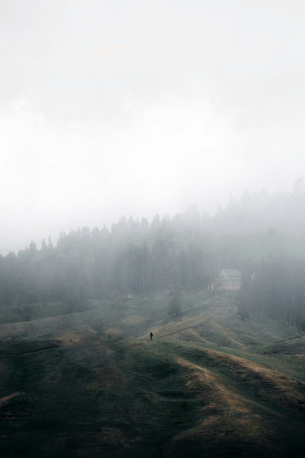 a person standing on a hill in the fog
