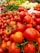 A vibrant display of fresh fruits and vegetables at a local market.