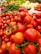 Fresh vegetables and fruits neatly arranged in a vibrant market setting.