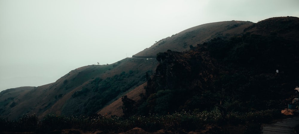 a person walking up a hill on a foggy day