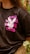 A person wearing a black t-shirt with pink lettering that reads 'ANTI SOCIAL SOCIAL CLUB' featuring a white rabbit design. The background includes greenery and foliage.