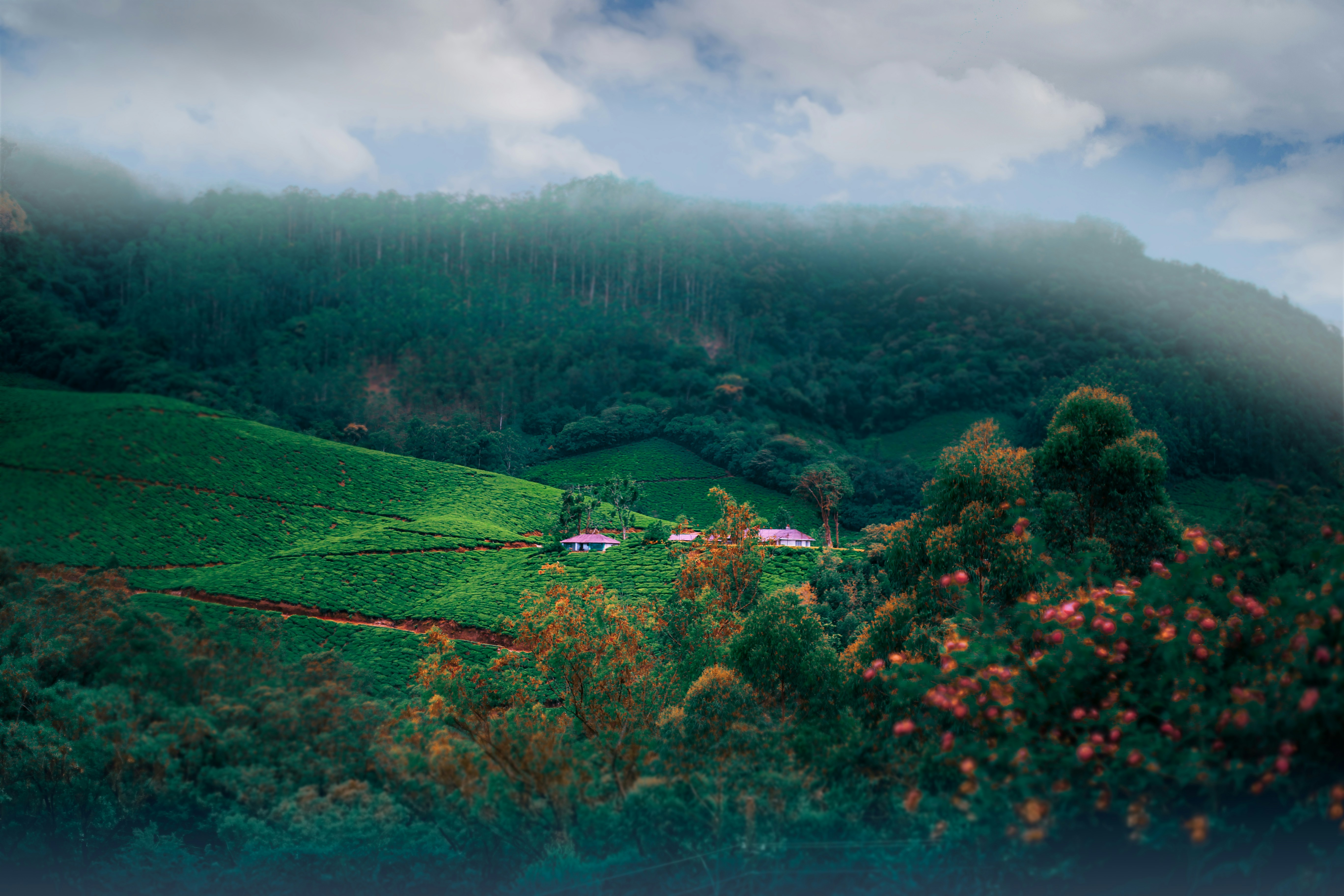 Photo by arununnikrishnan