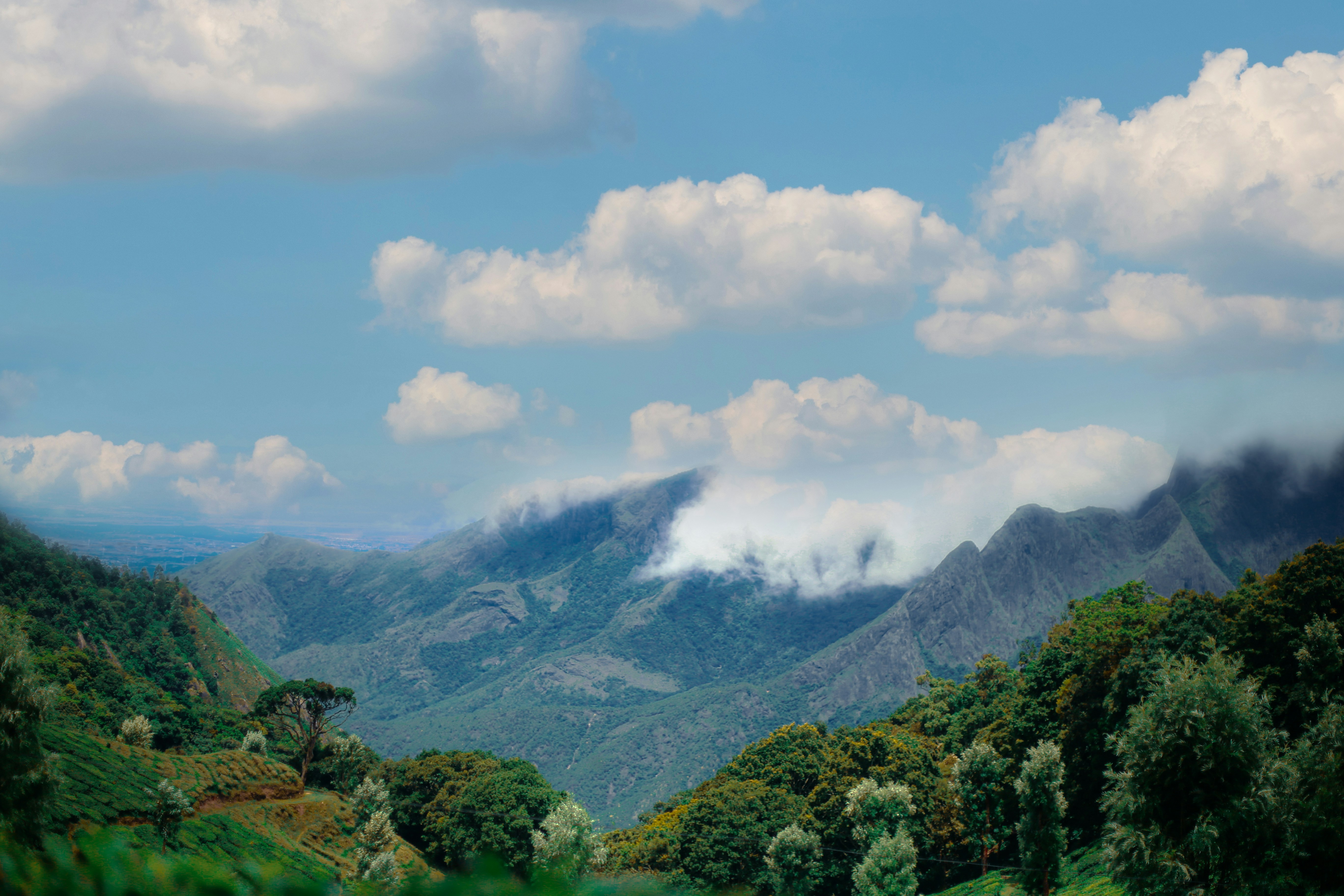 Photo by arununnikrishnan